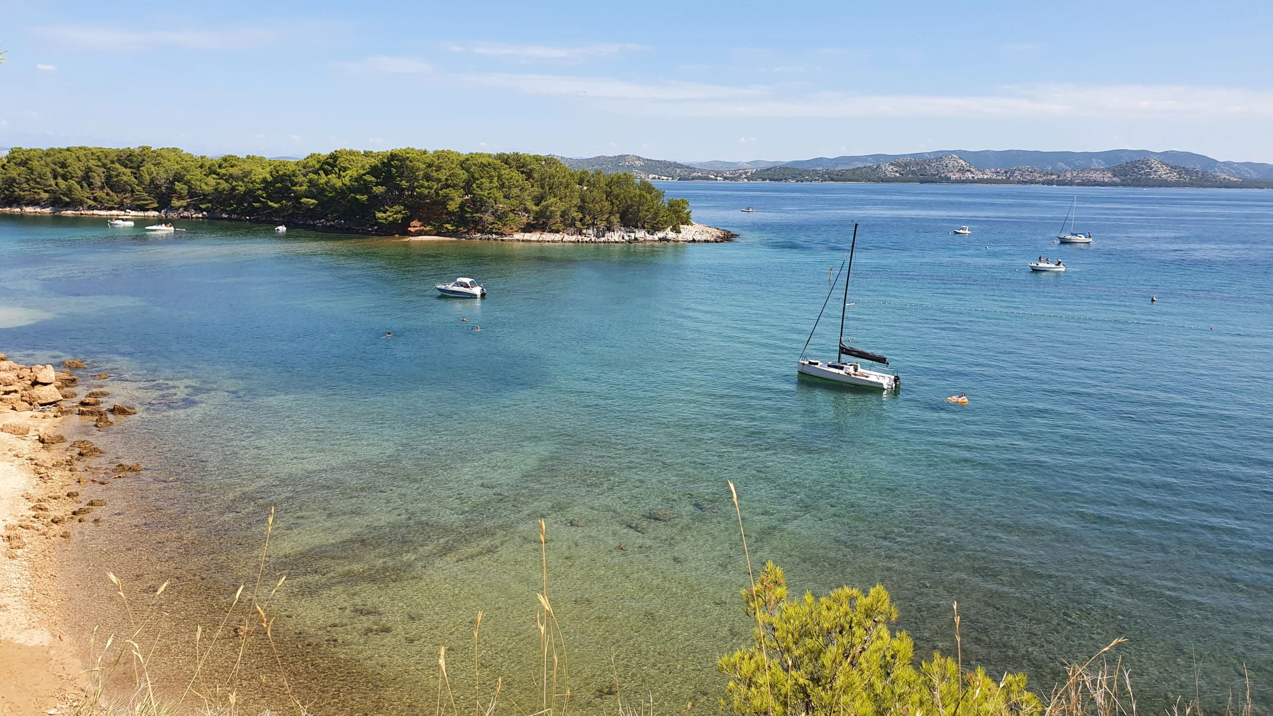 © Diethelm Artikelbild