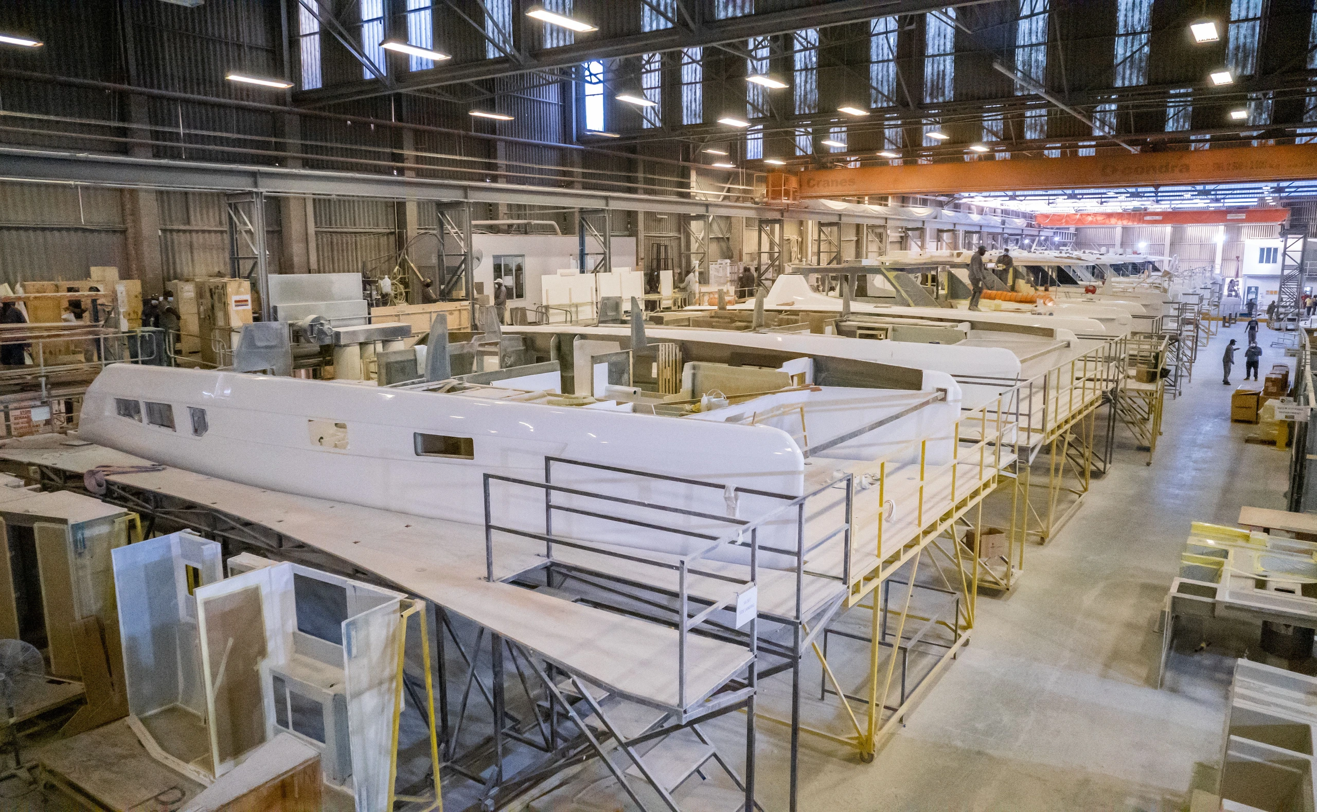 Wo die wilden Katzen wohnen