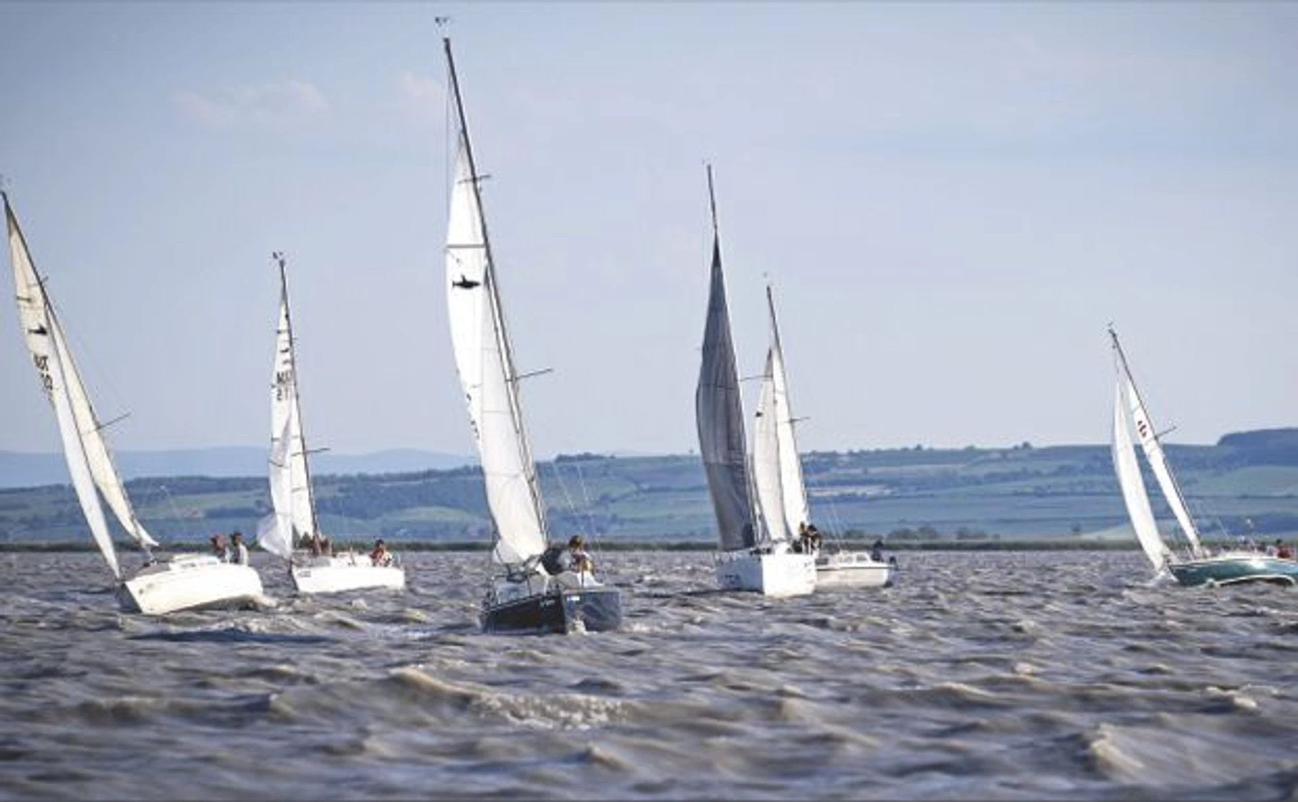 Wundersame Wiederauferstehung