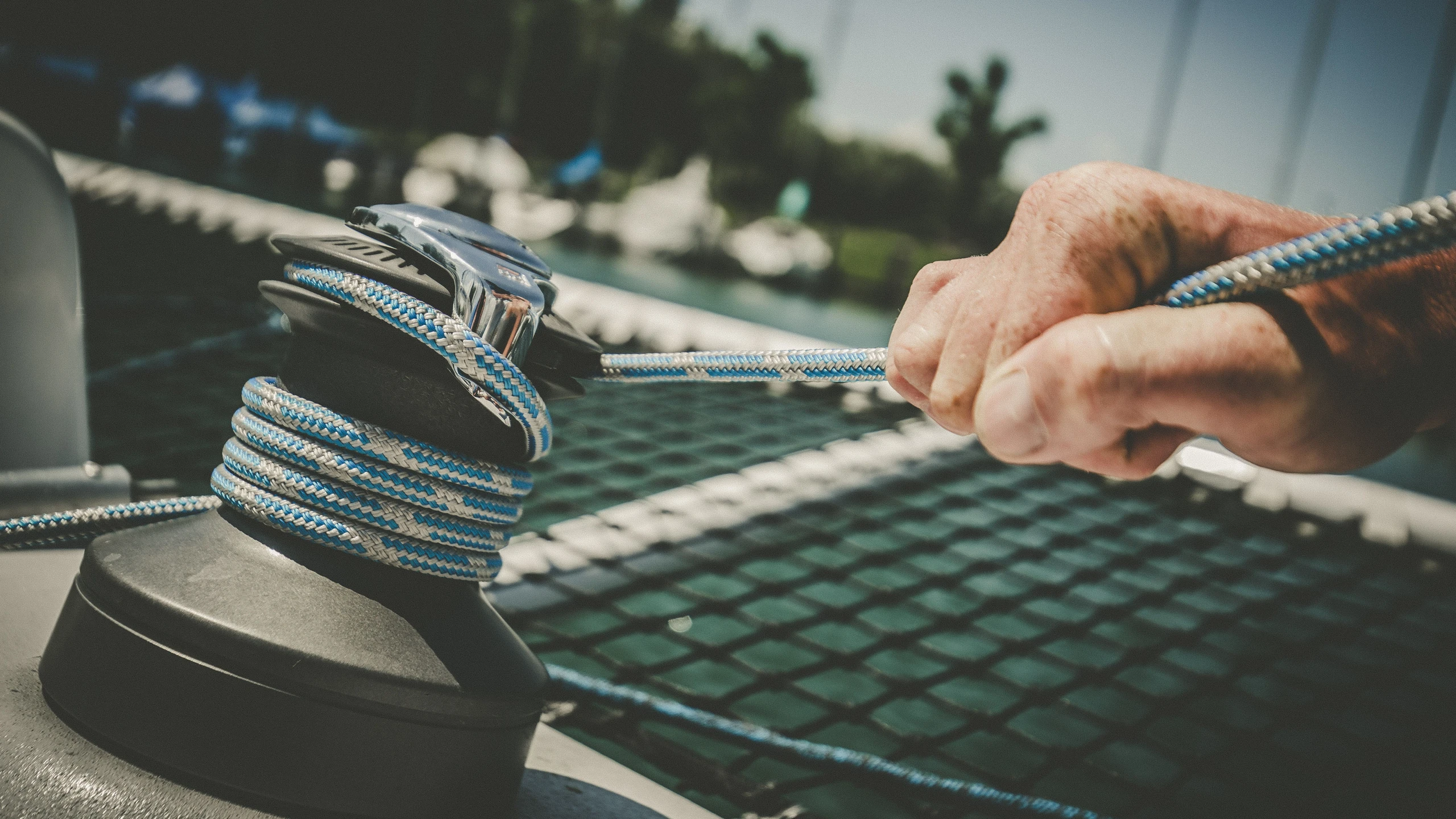 © www.dapic.rocks Artikelbild