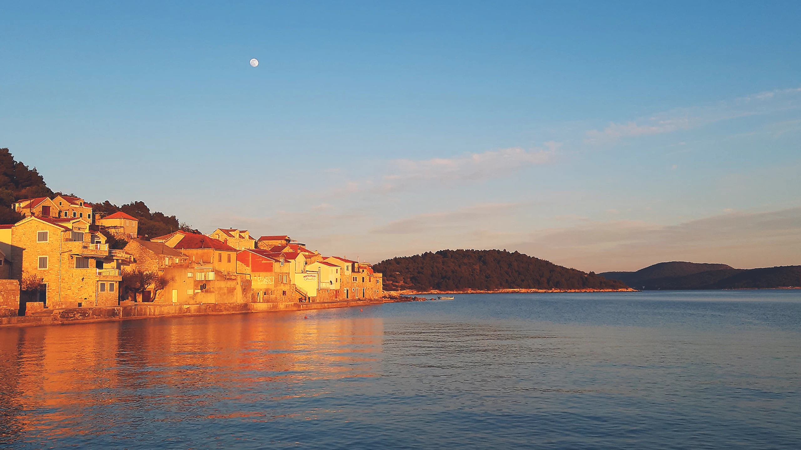 © Diethelm Artikelbild