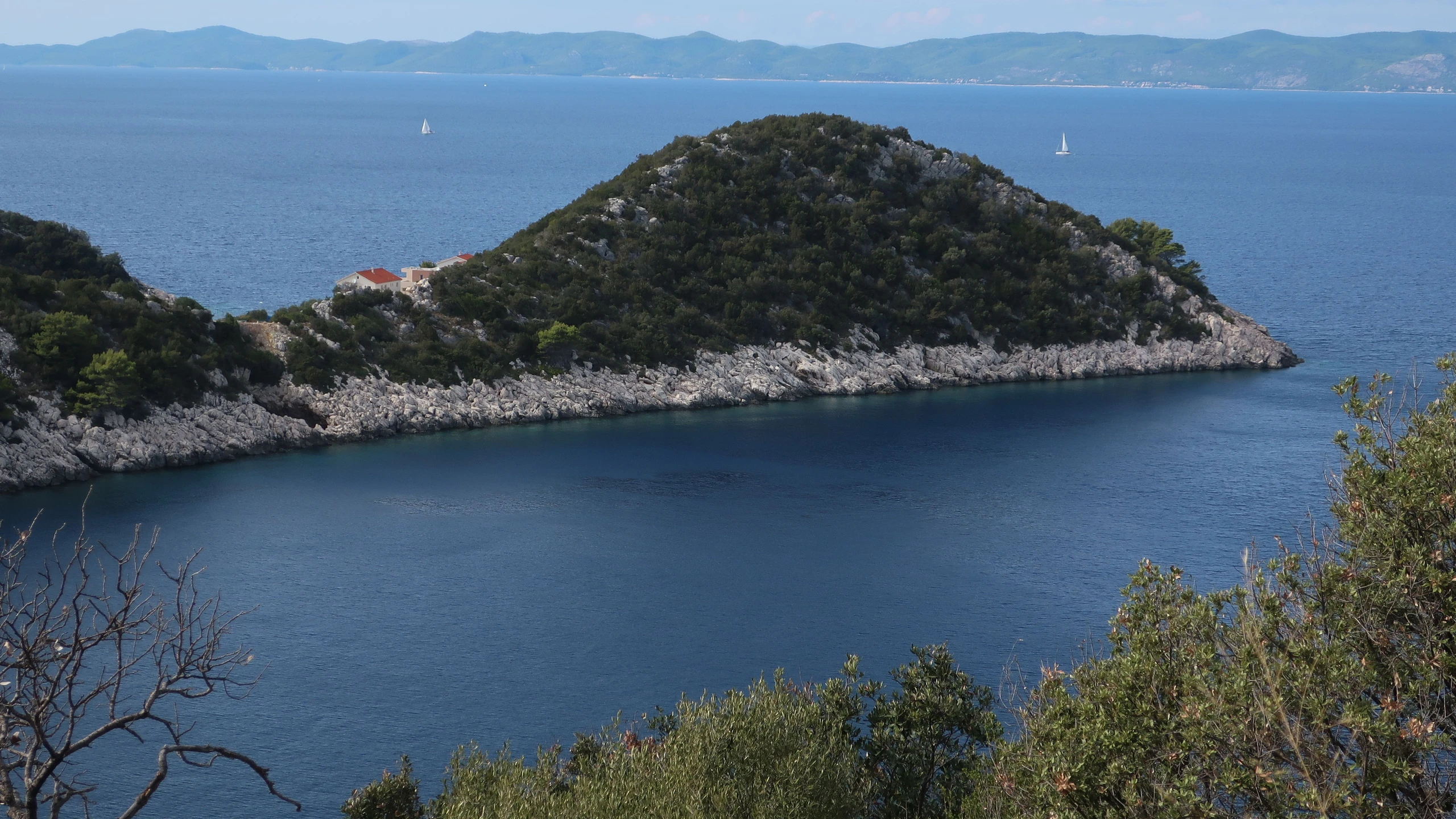 © Meisinger Artikelbild