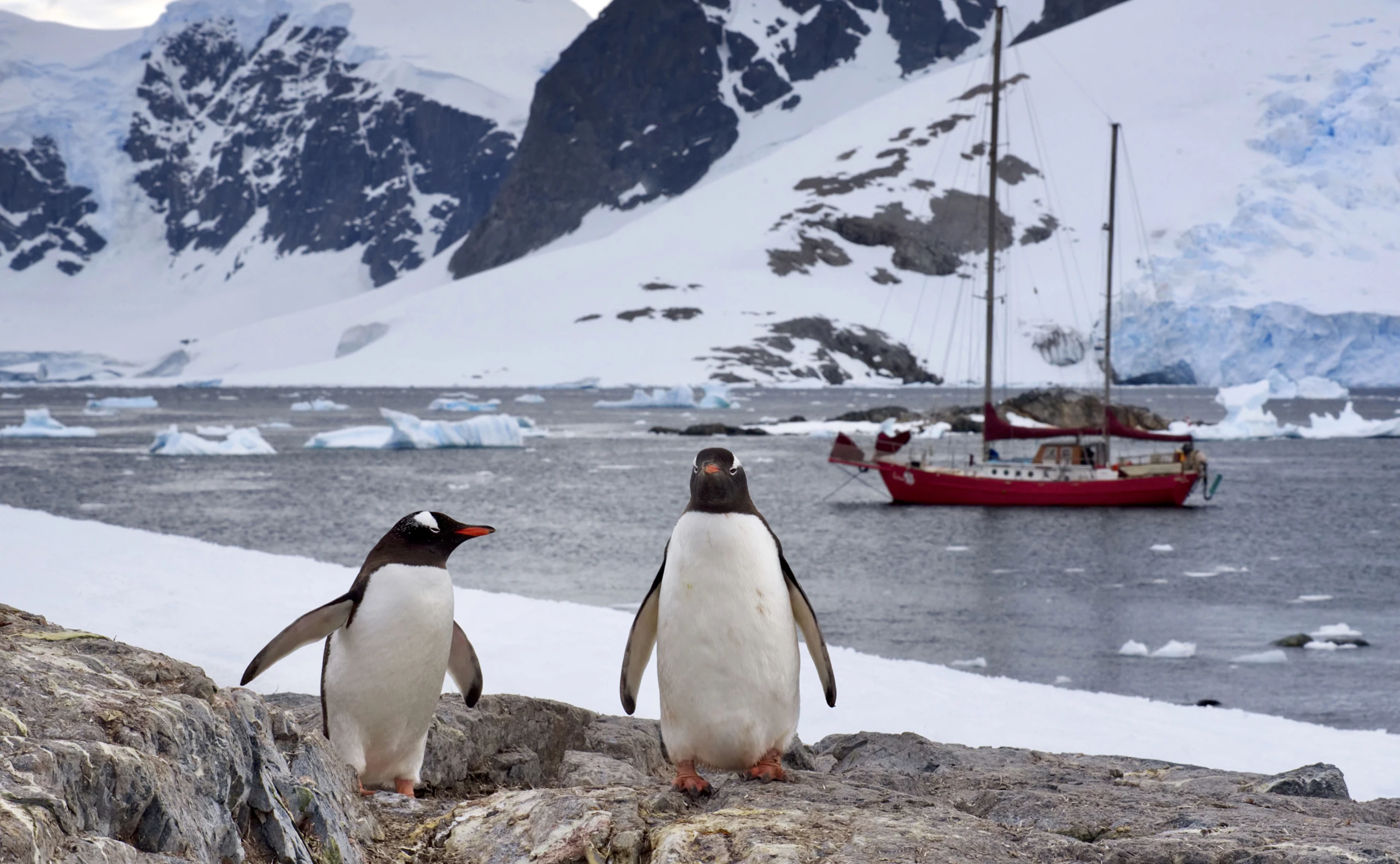 Gefährliche Schönheit