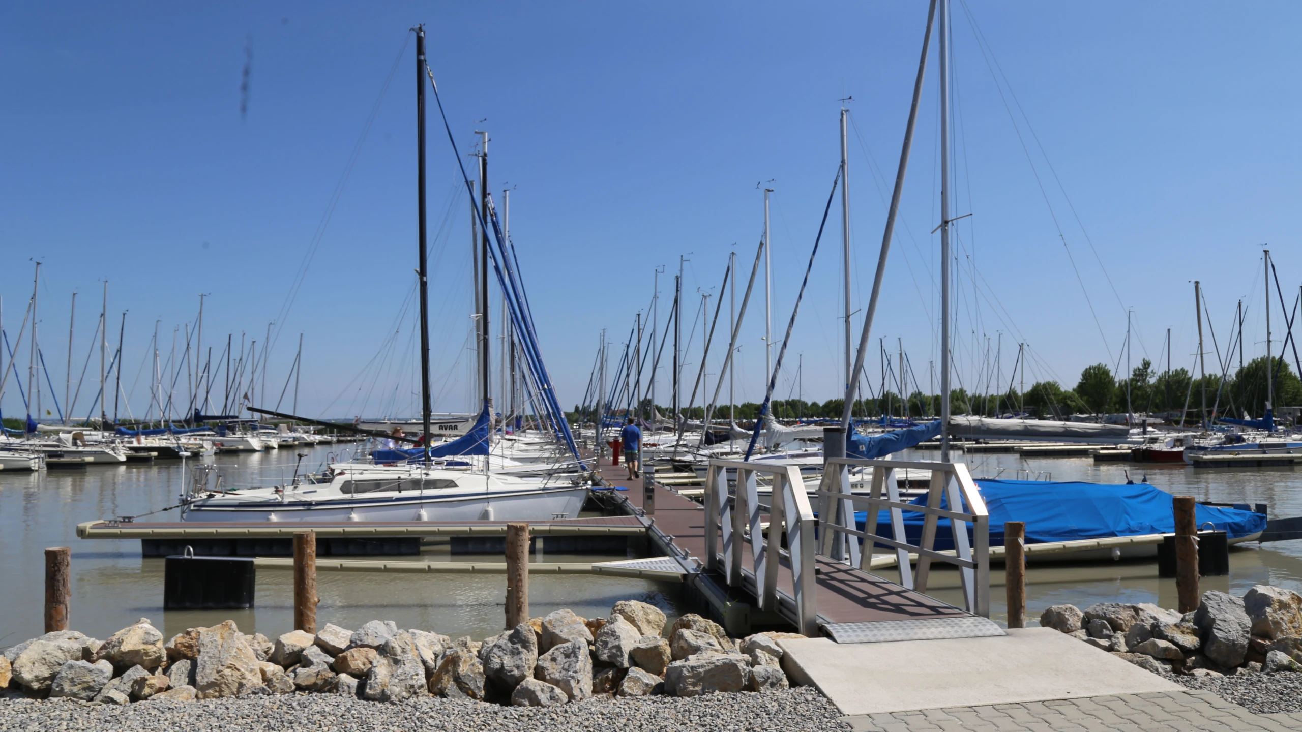 © diethelm Artikelbild