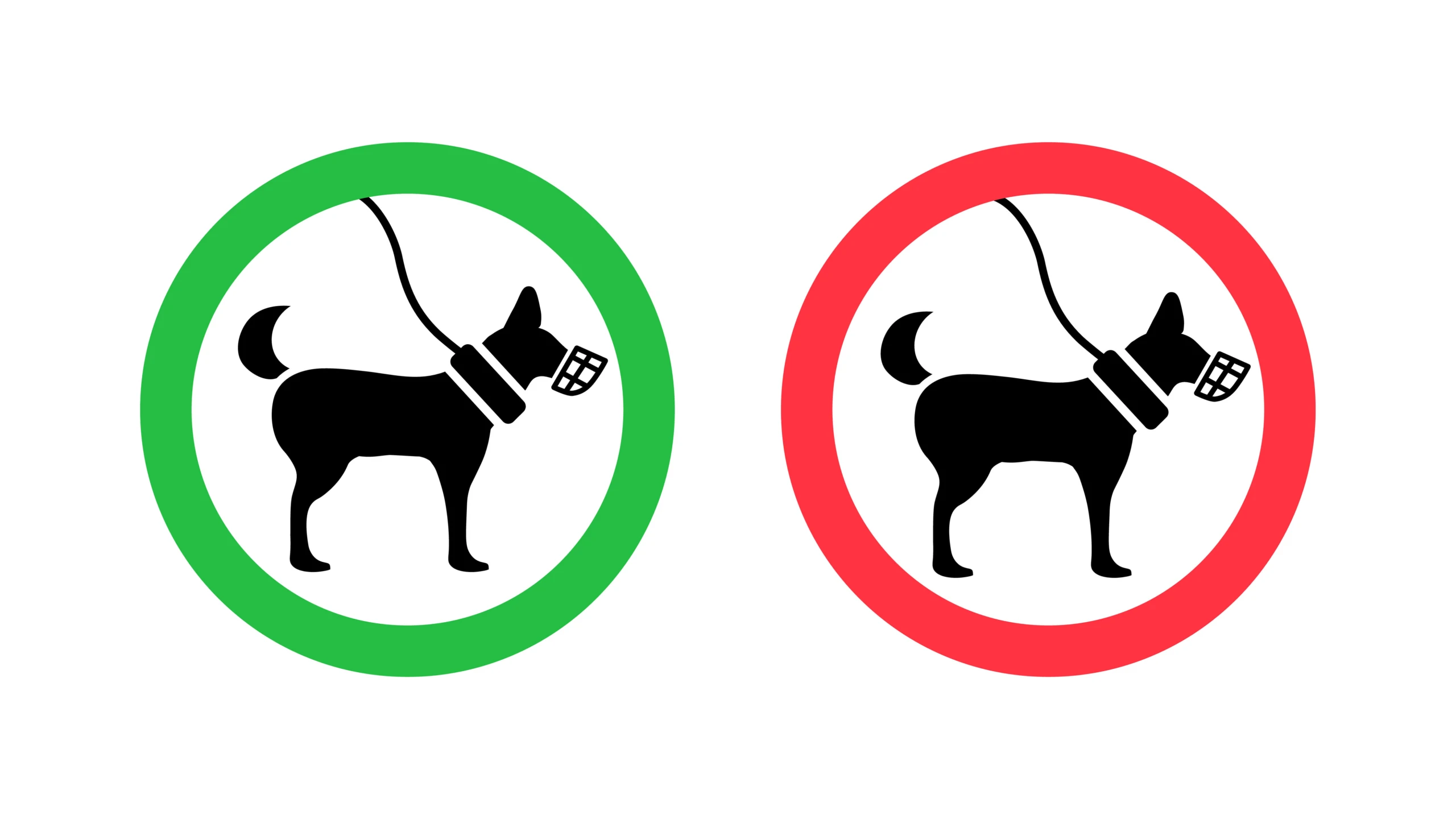 © shutterstock Artikelbild