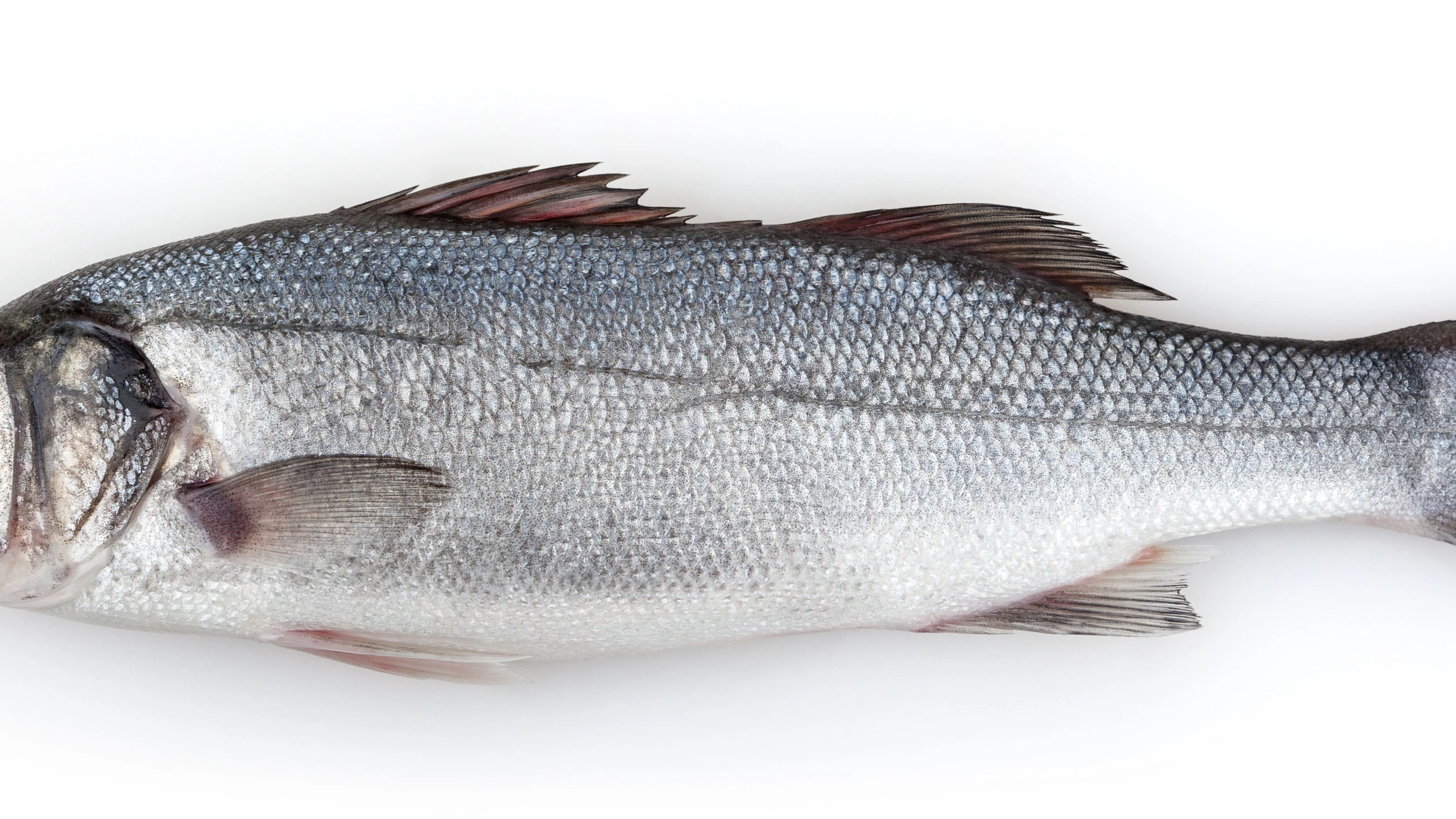 © Shutterstock Artikelbild