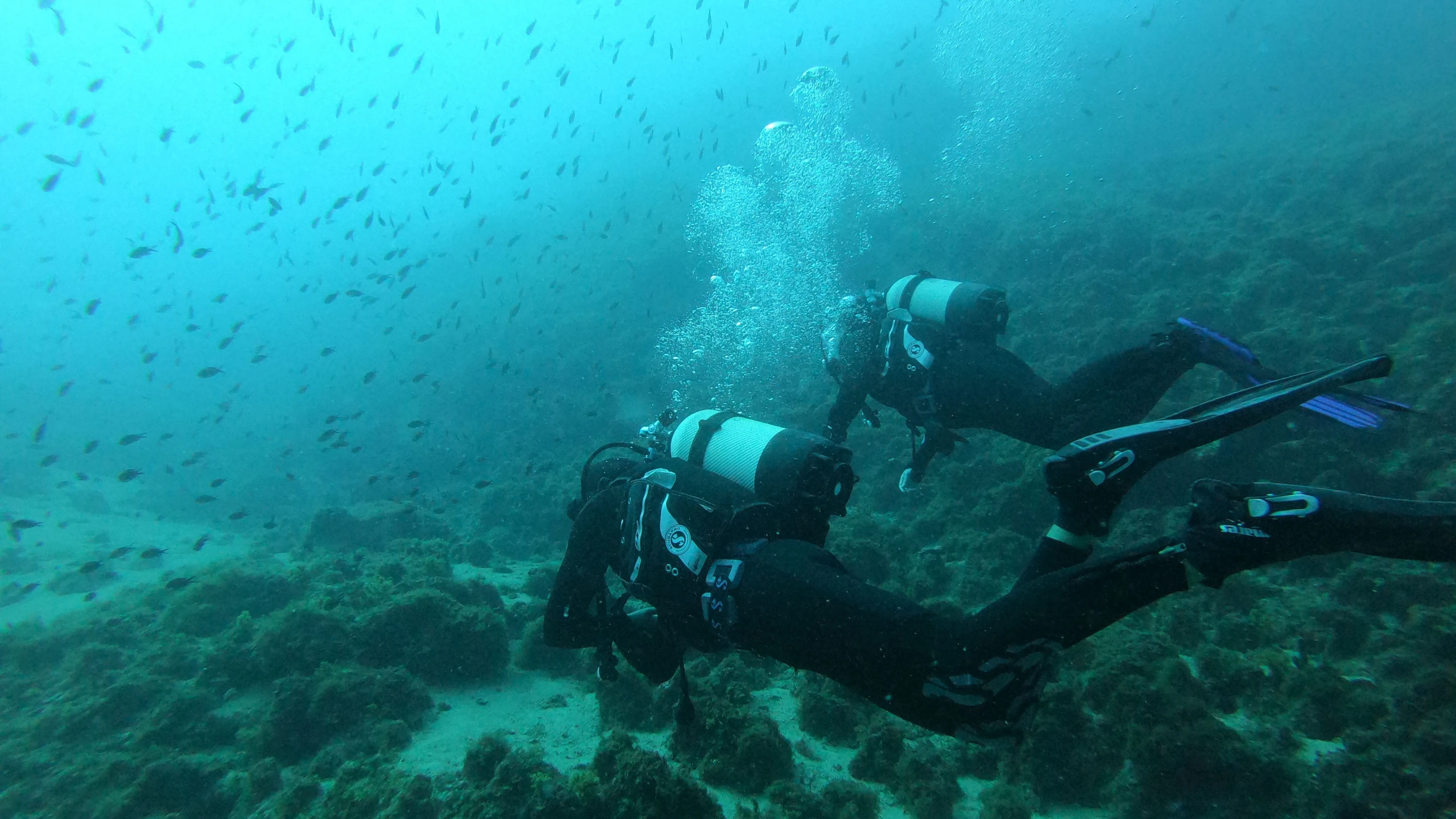 © diethelm Artikelbild