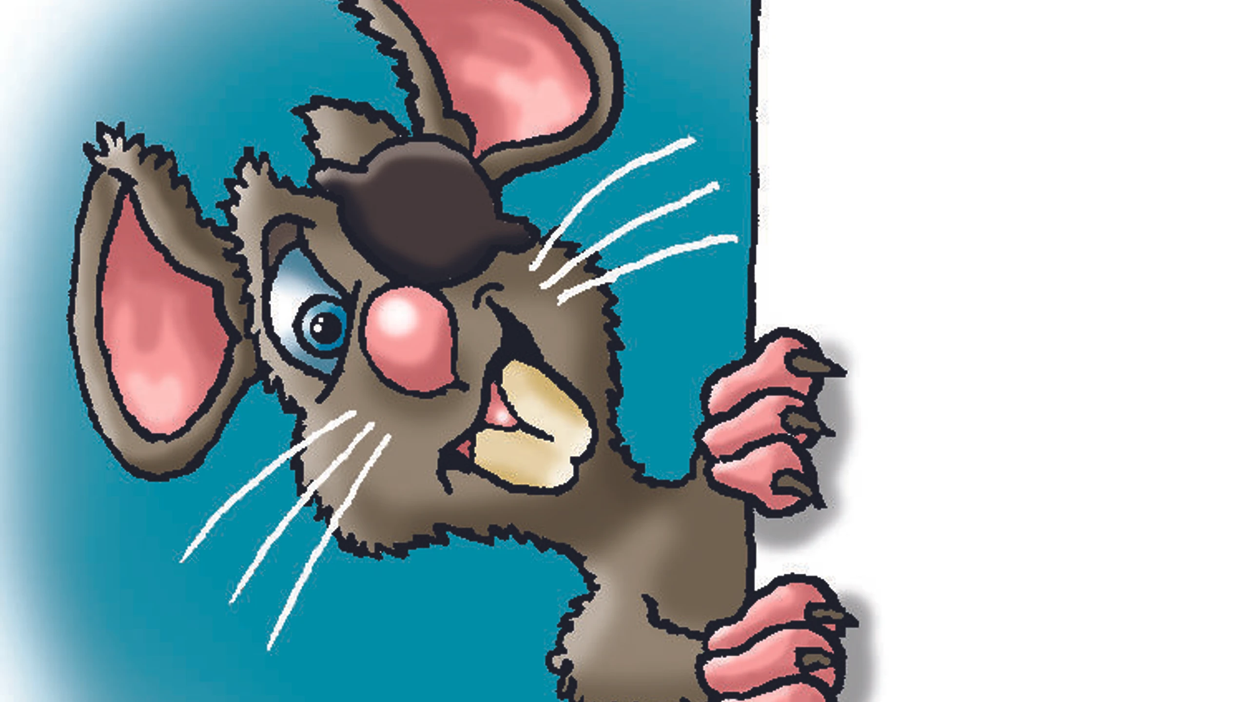 © Buchacher Artikelbild