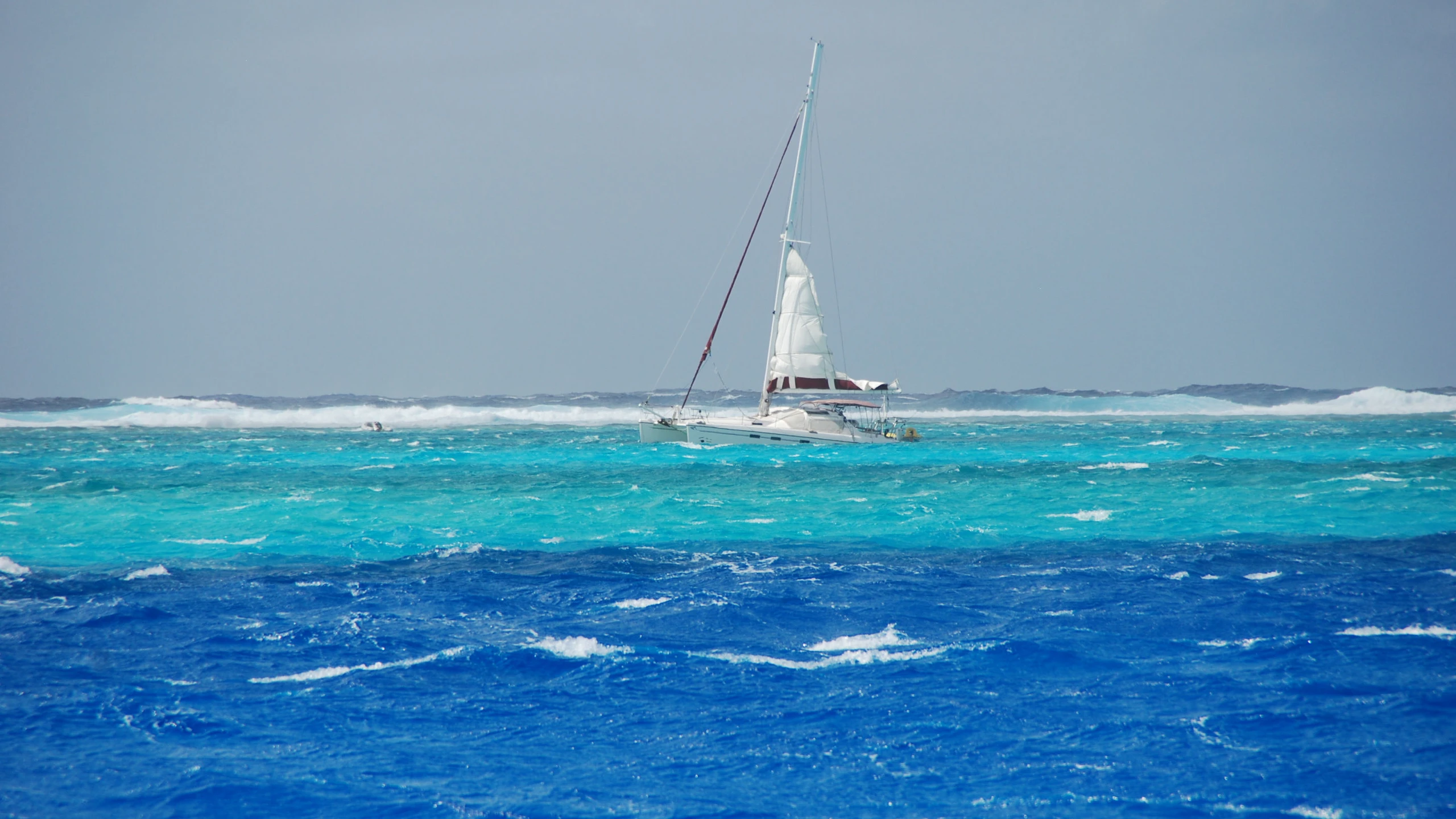 © Hackl Artikelbild