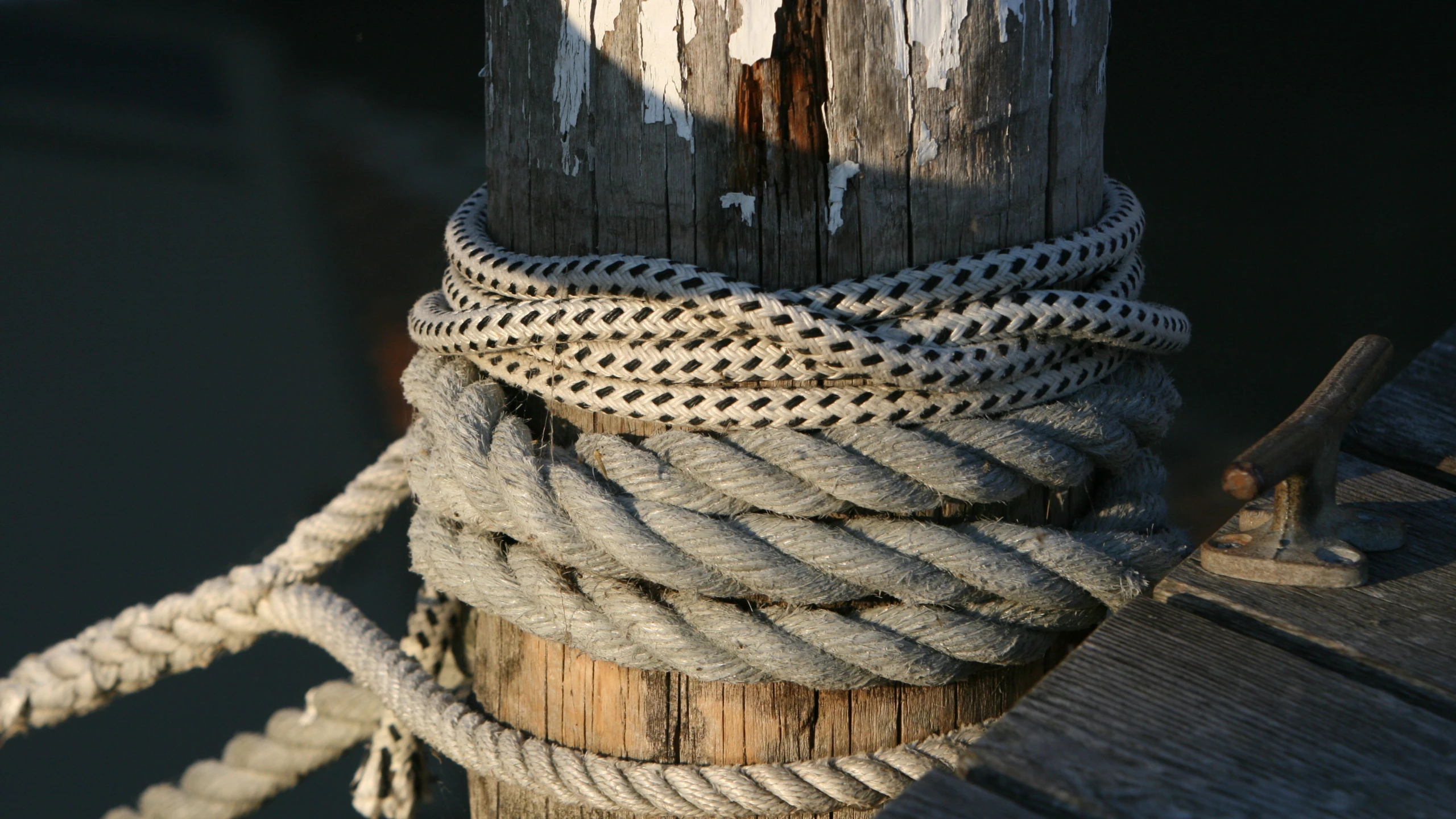 © Duller Artikelbild