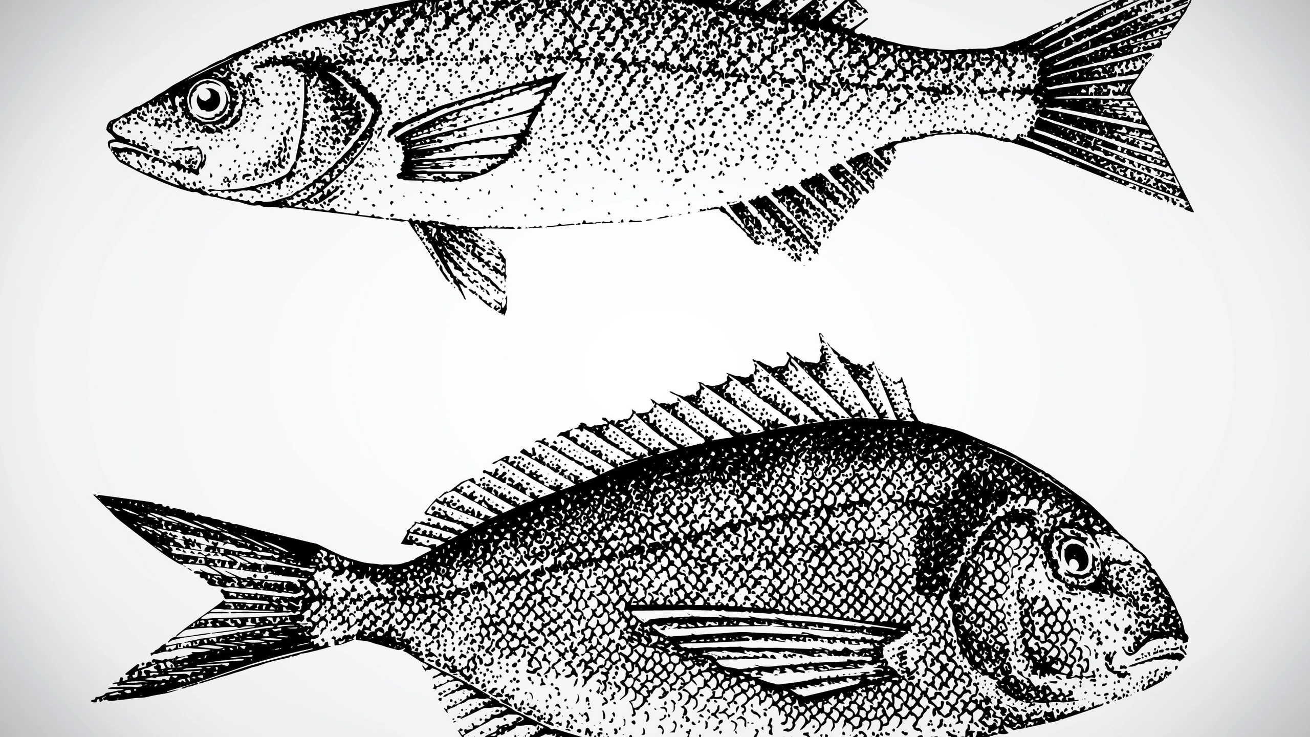 © shutterstock Artikelbild