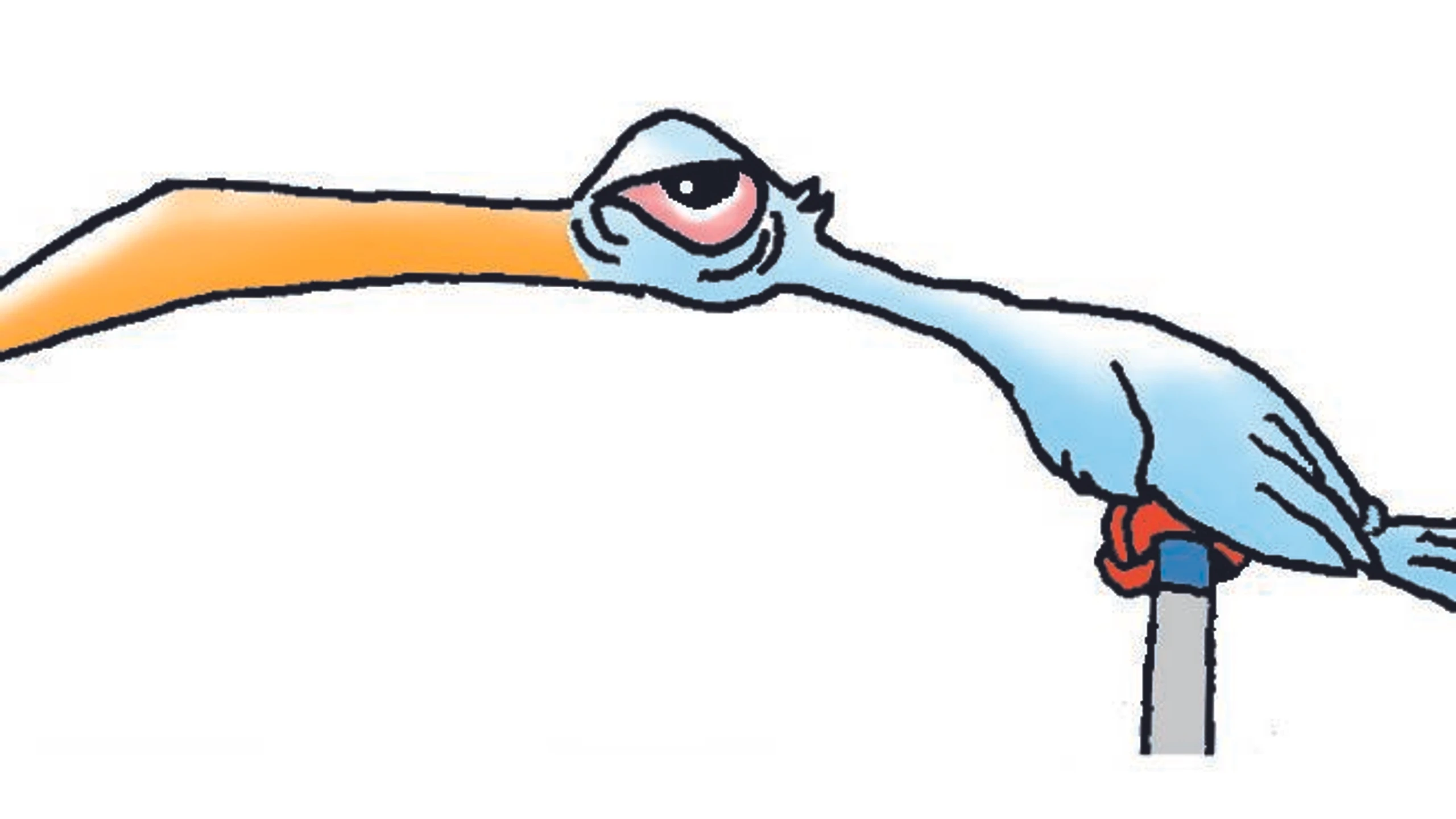 © Reini Buchacher Artikelbild