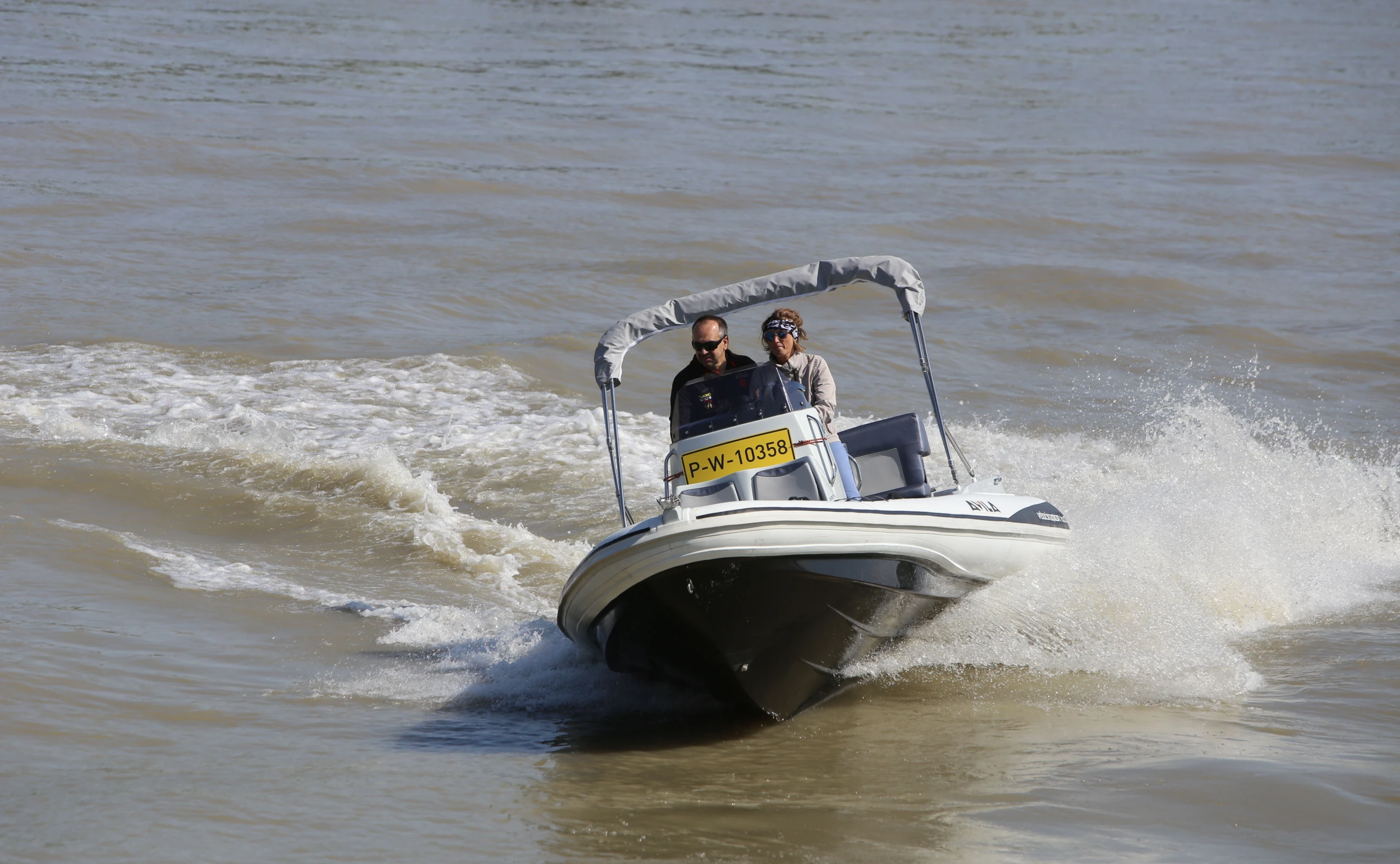 Avila Velociraptor 6.0