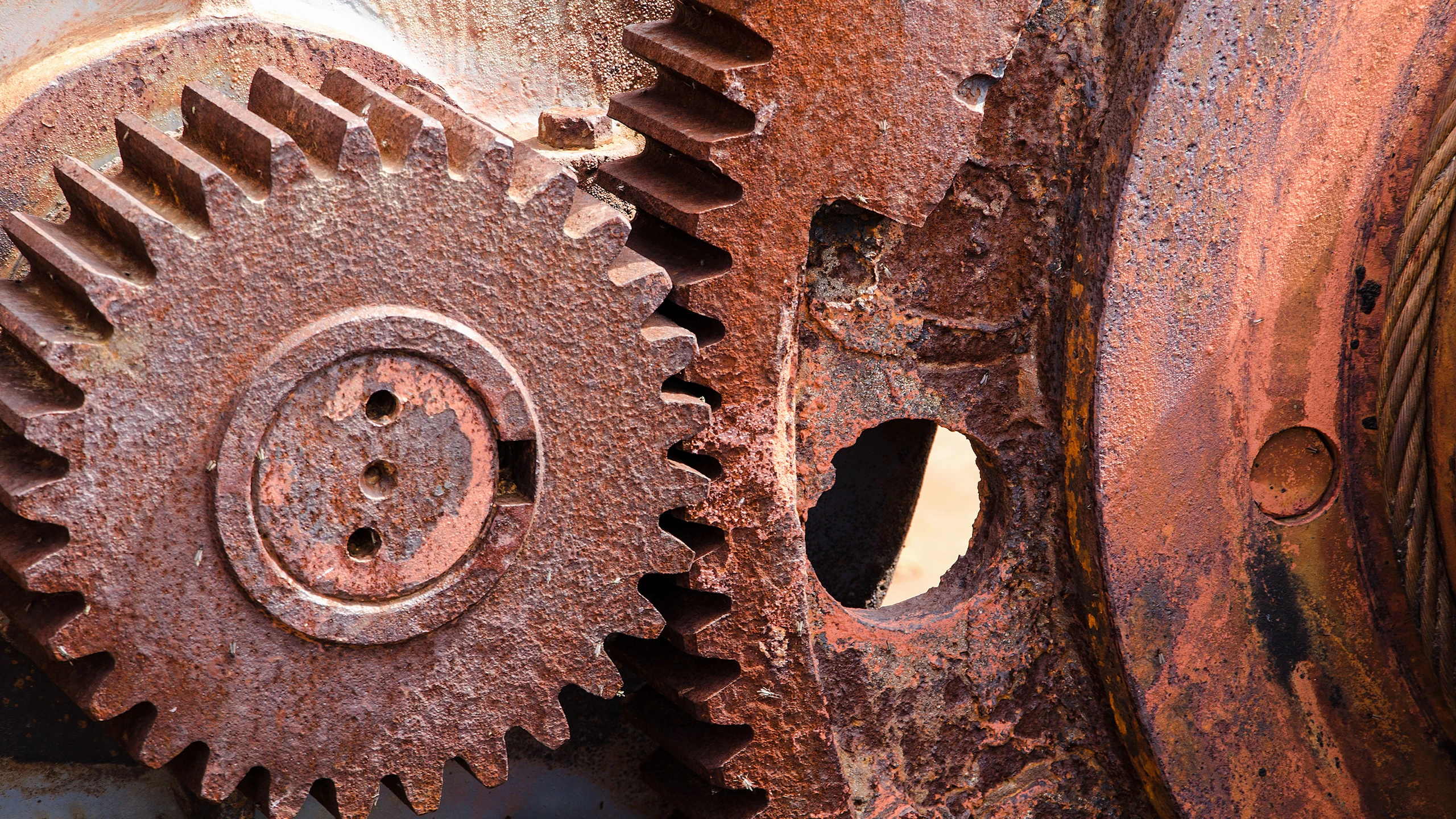 © shutterstock Artikelbild