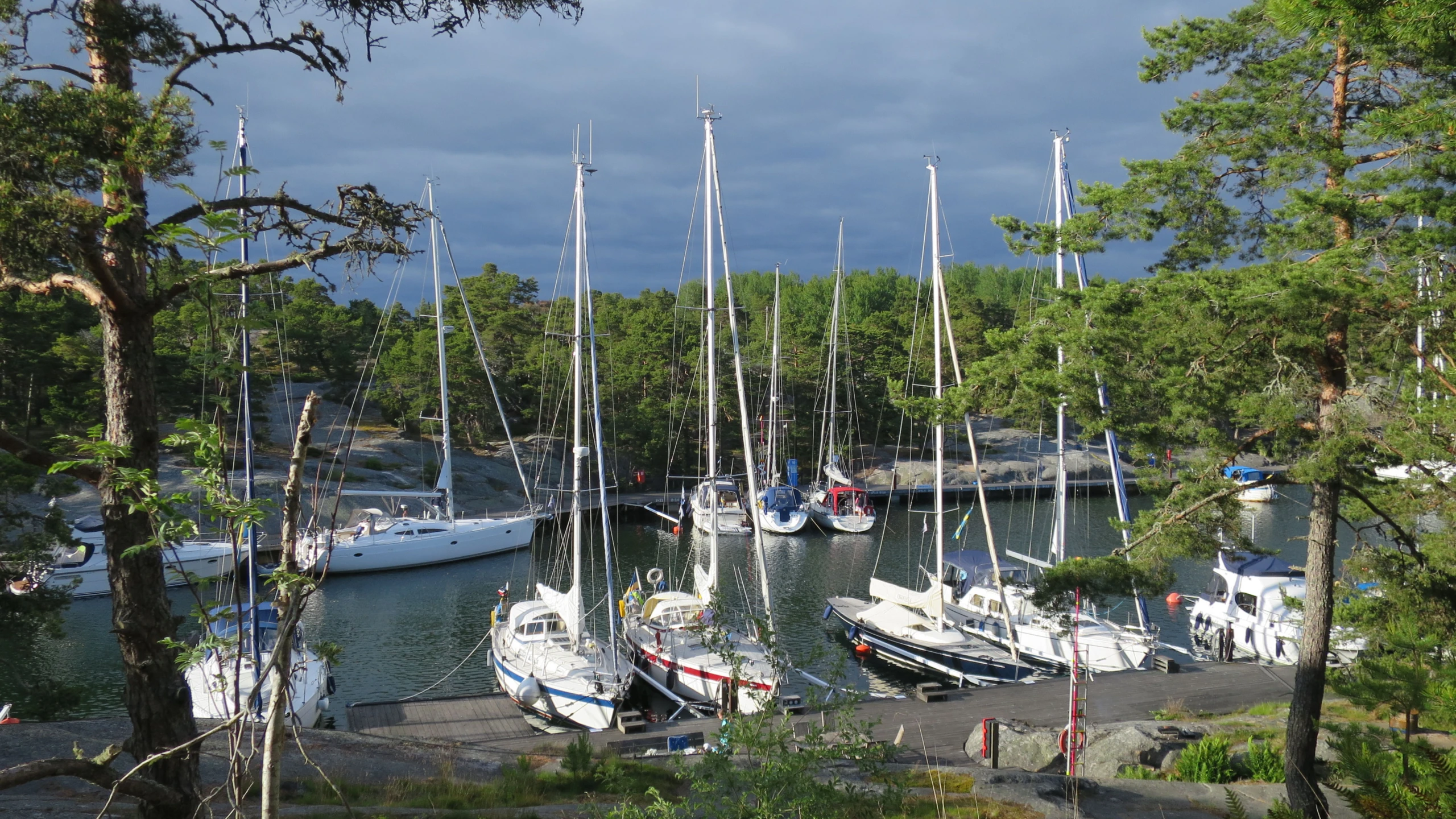 © Verena Diethelm Artikelbild