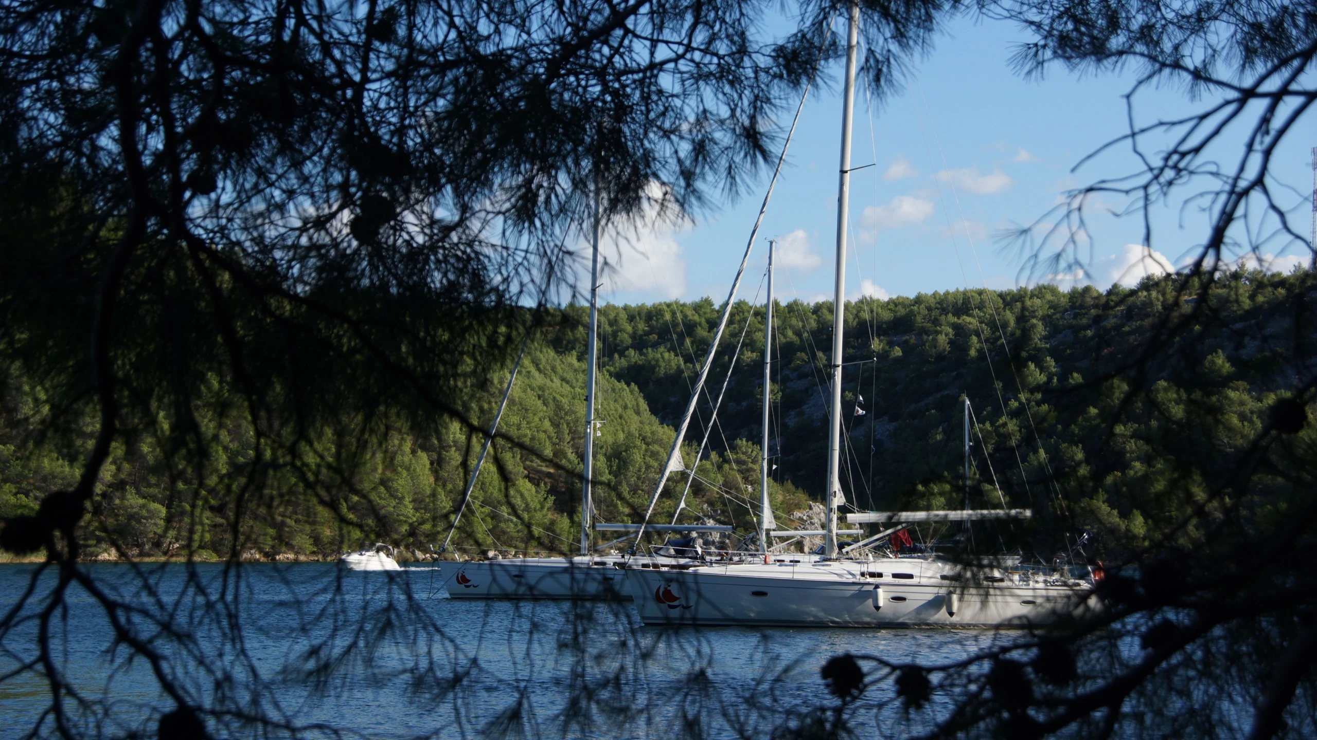 © Freddy Dangl Artikelbild