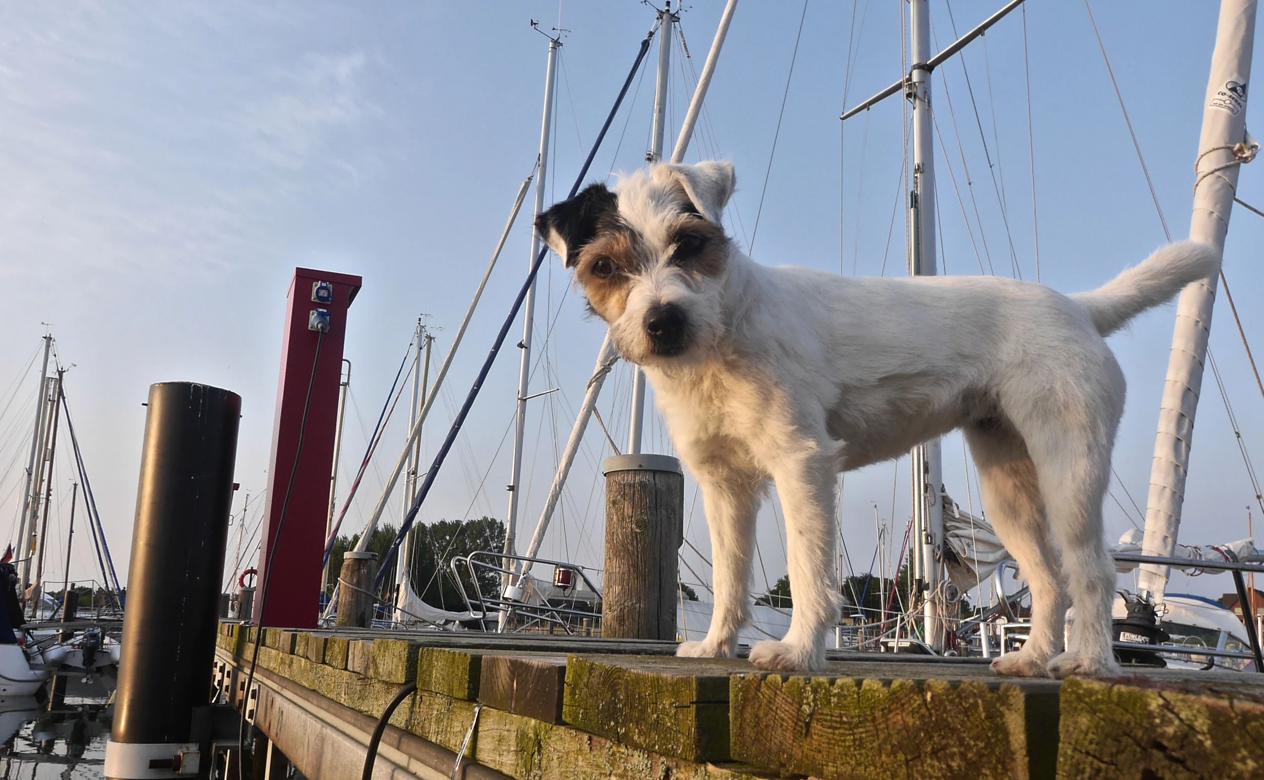 Tierisches Vergnügen