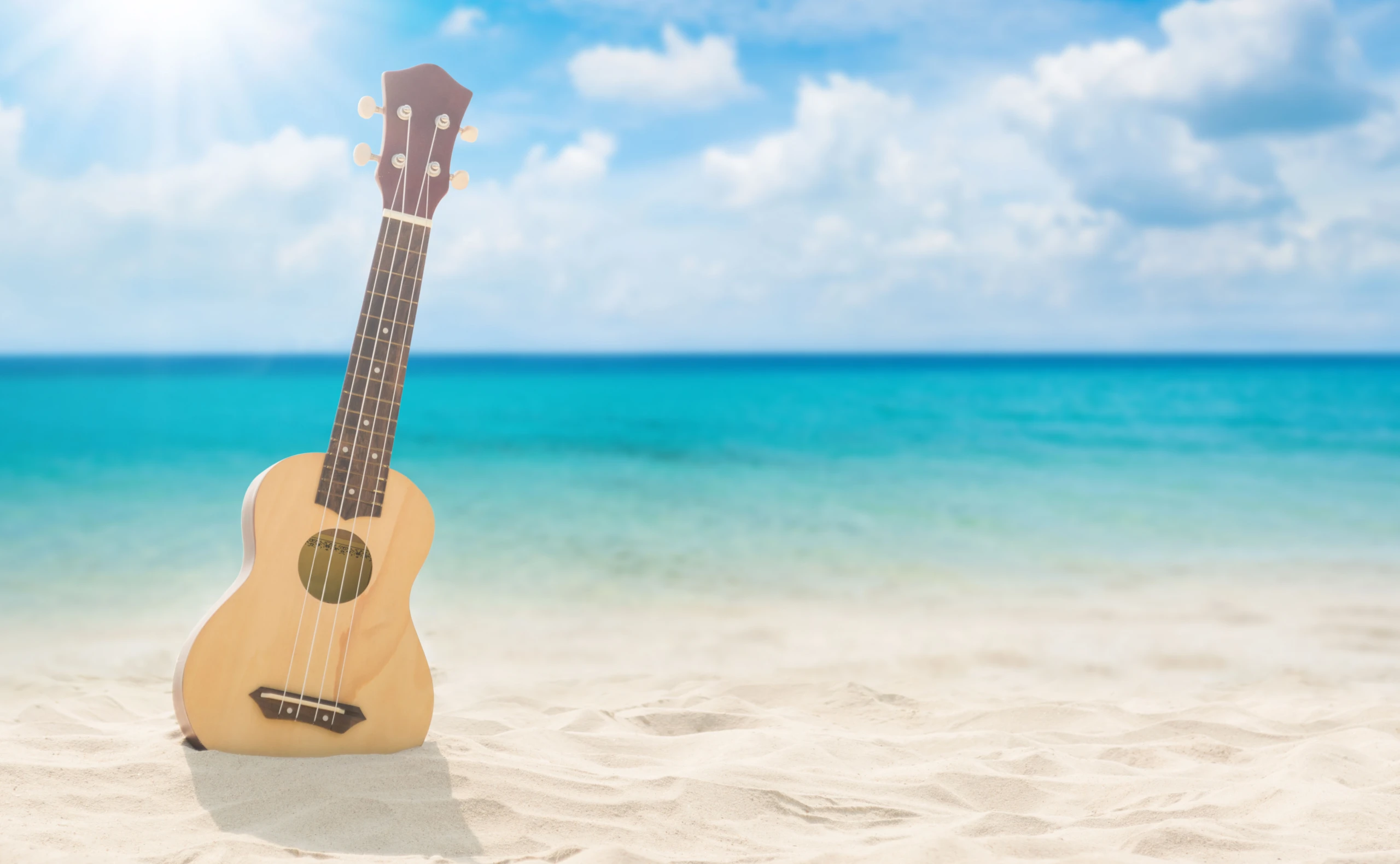 Von Freddy bis Rod Stewart