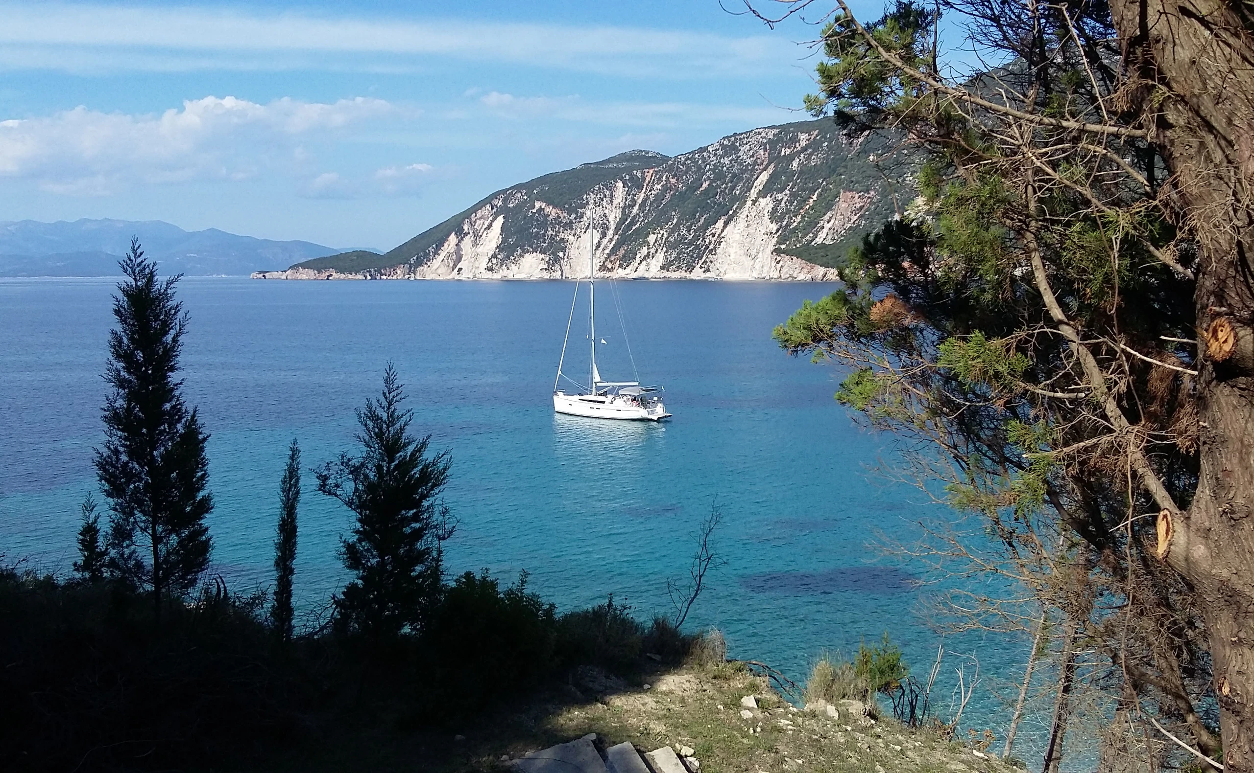 Von seltenen und hohen Tieren