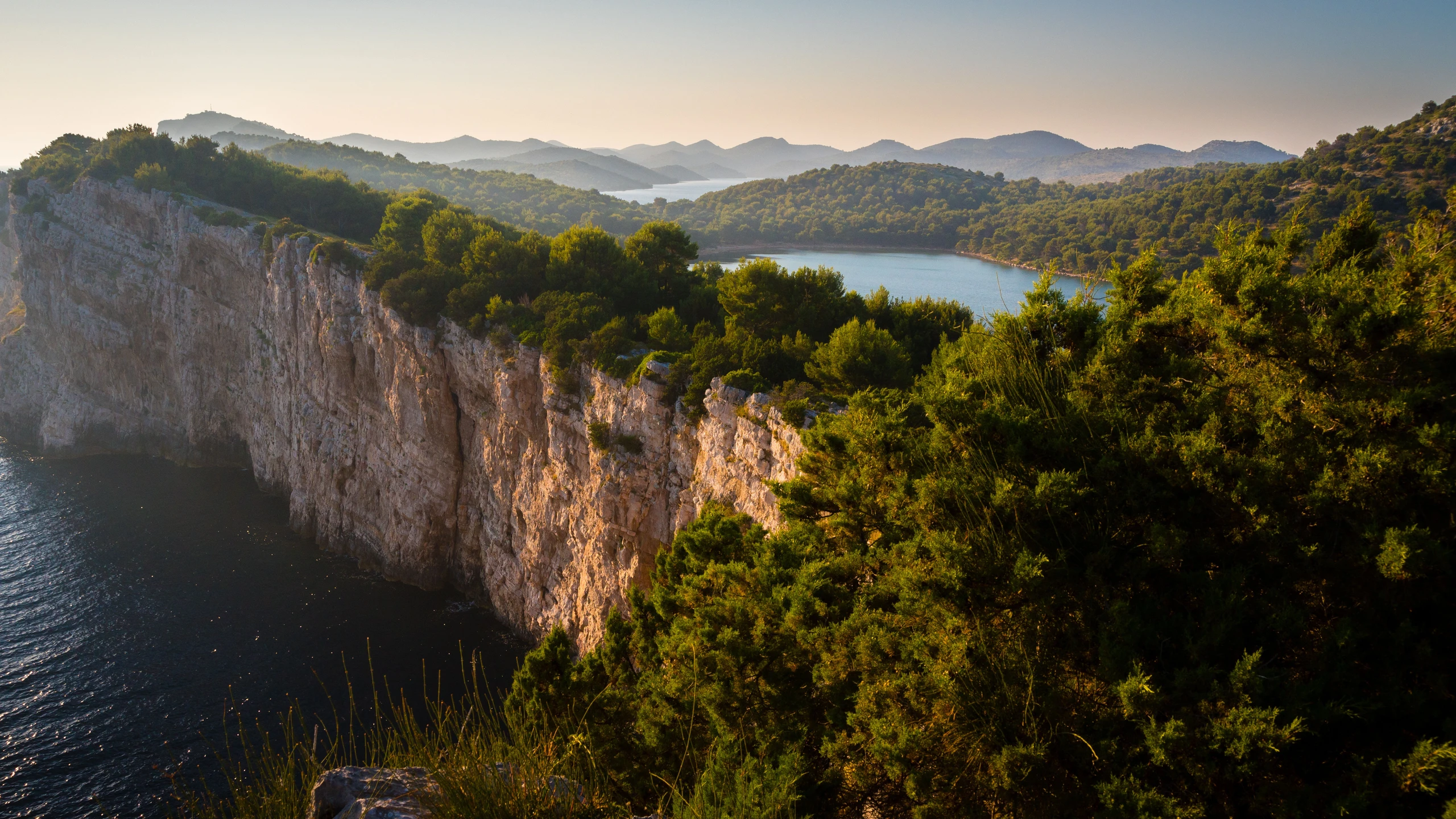 © Shutterstock Artikelbild