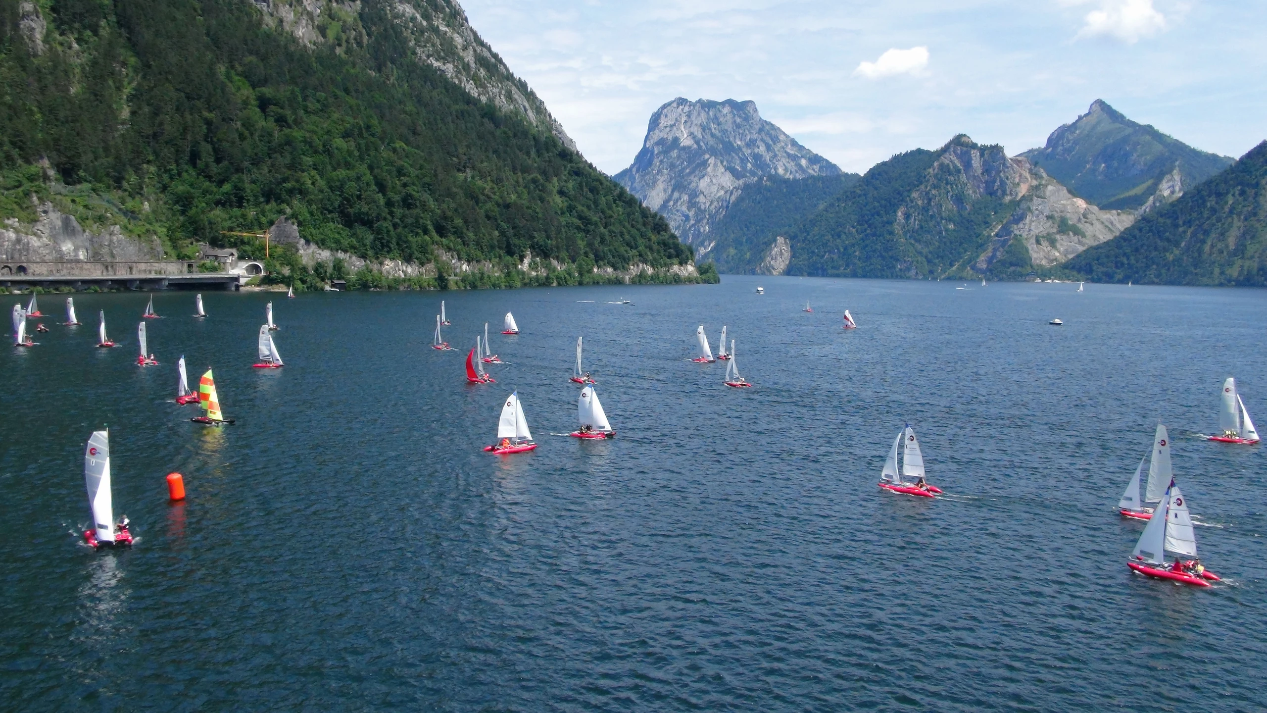 © Happy Cat Artikelbild