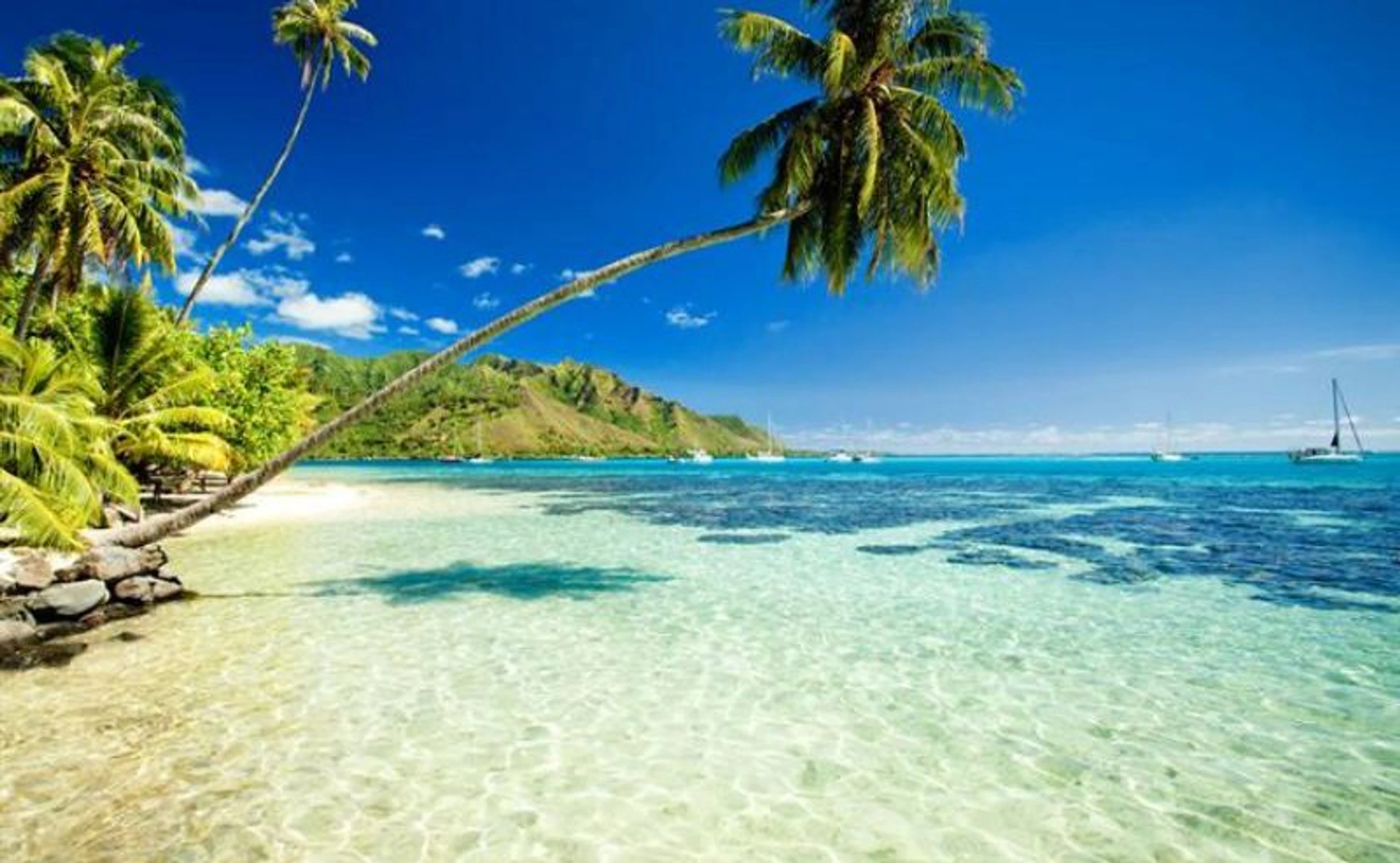 Flucht in die Karibik