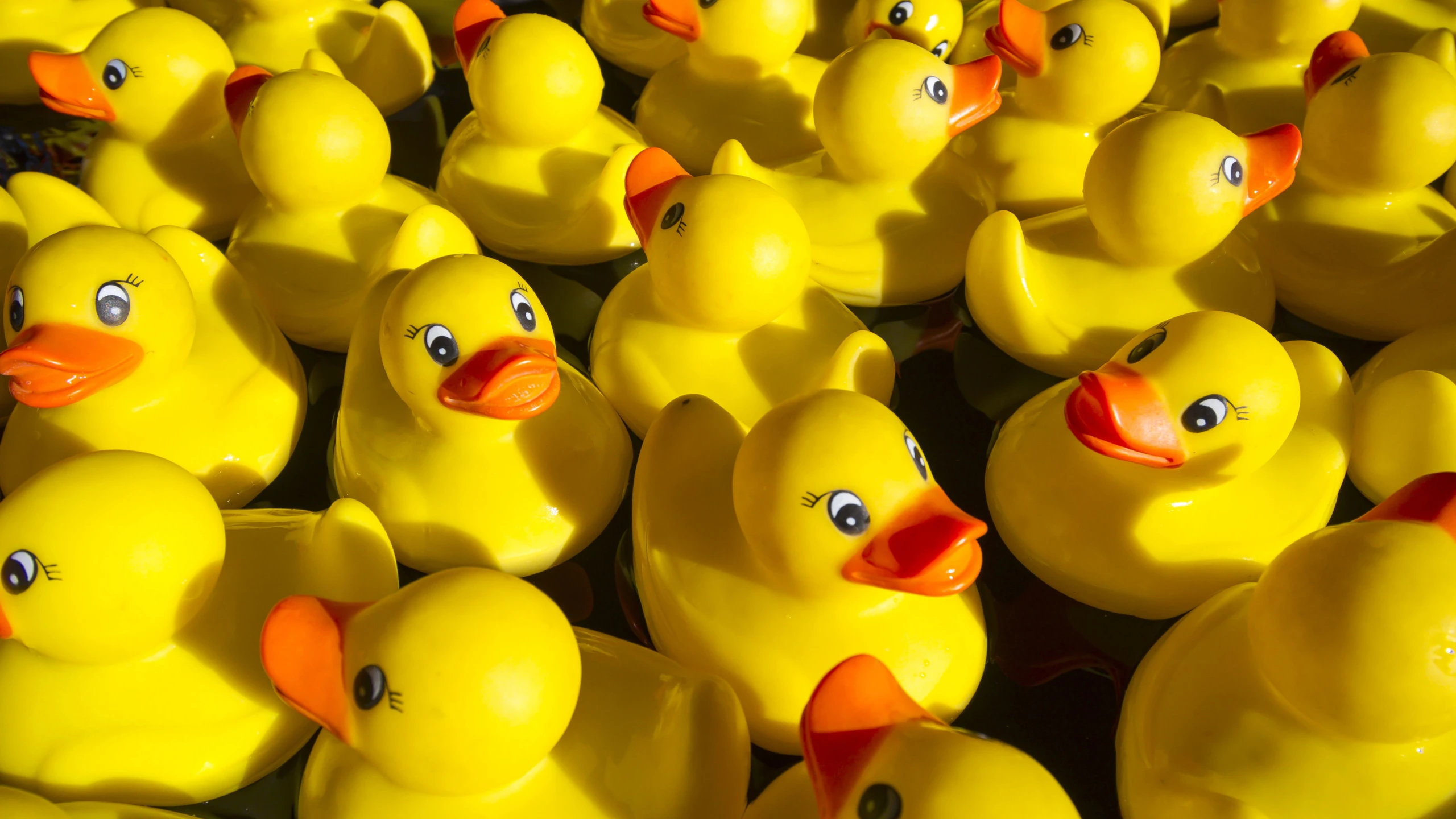 © MARTIN MOXTER Artikelbild