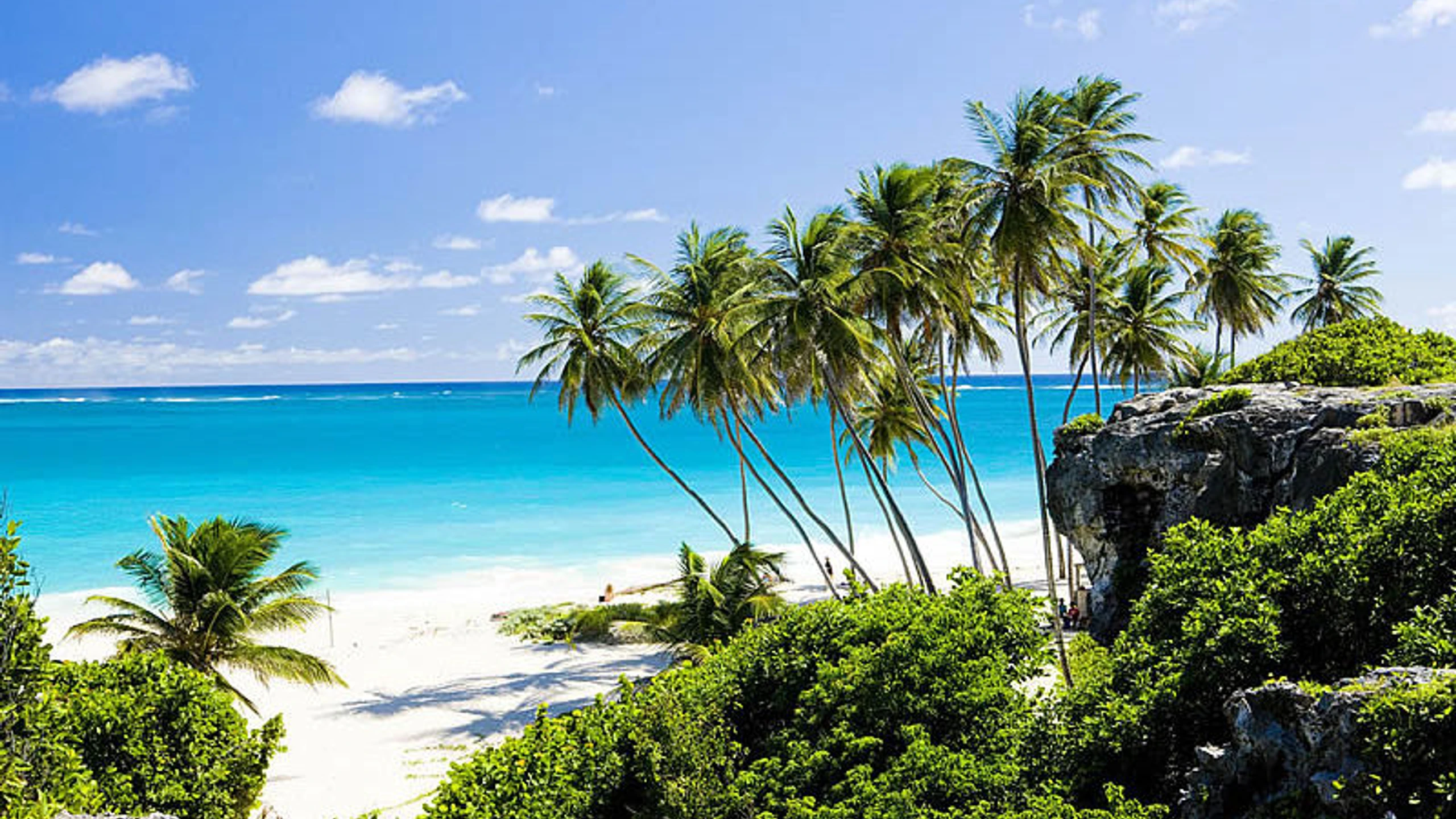 © Barbados.com Artikelbild