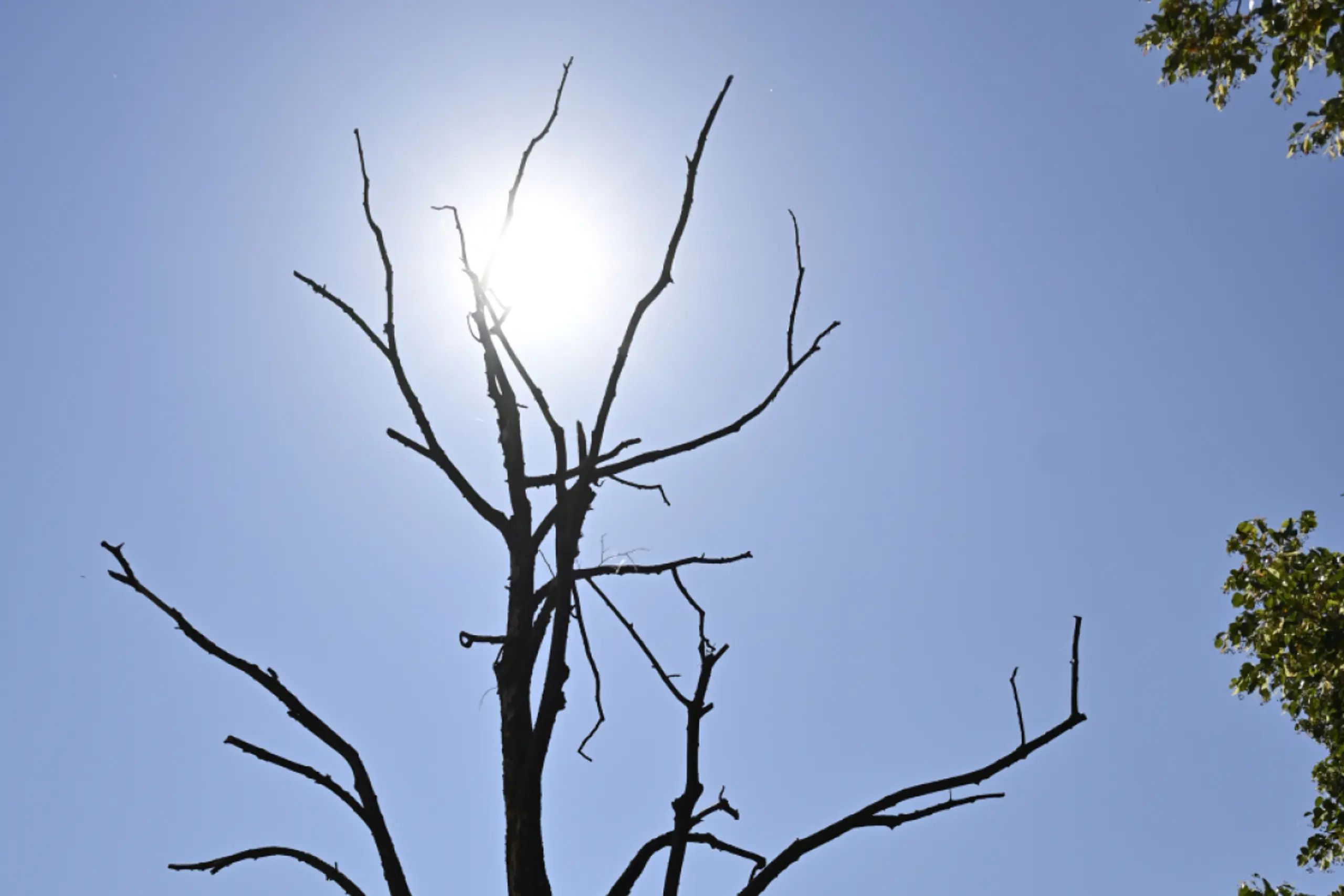 Hitzetage häufen sich aufgrund der Klimakrise