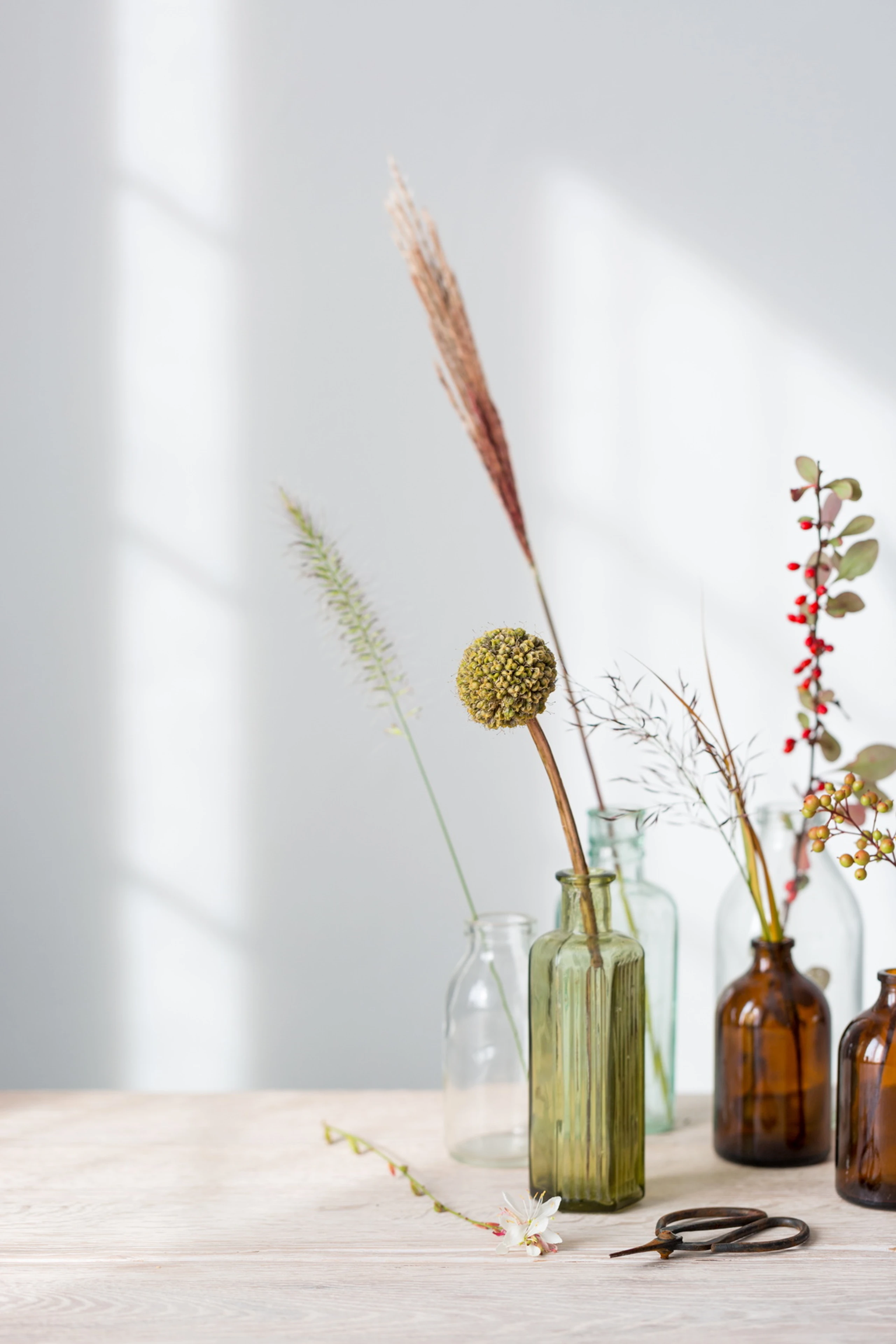 Was heilt uns? Tipps aus 5.000 Jahren Medizingeschichte