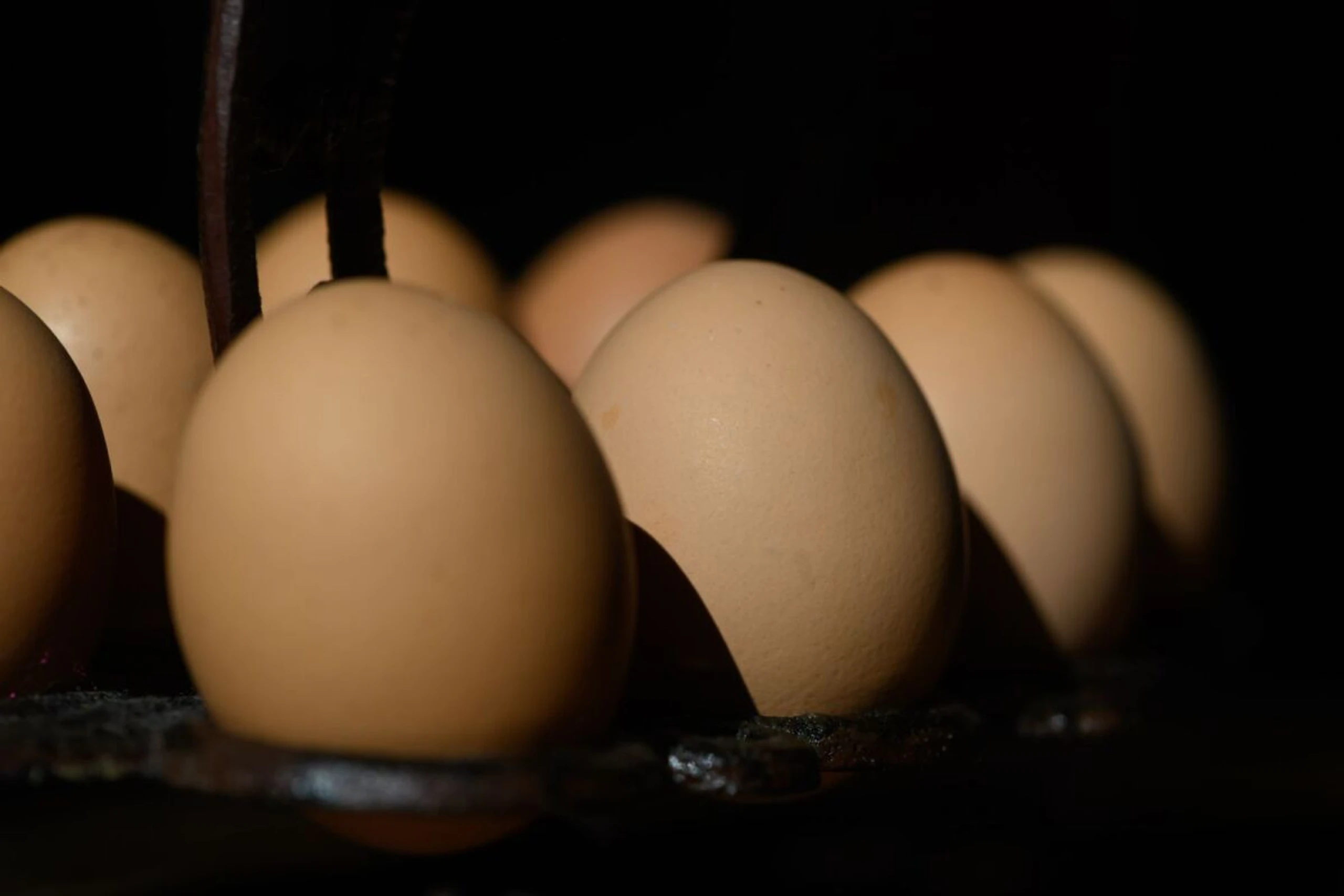 ++ ARCHIVBILD ++ Steuer auf Grundnahrungsmittel sinkt