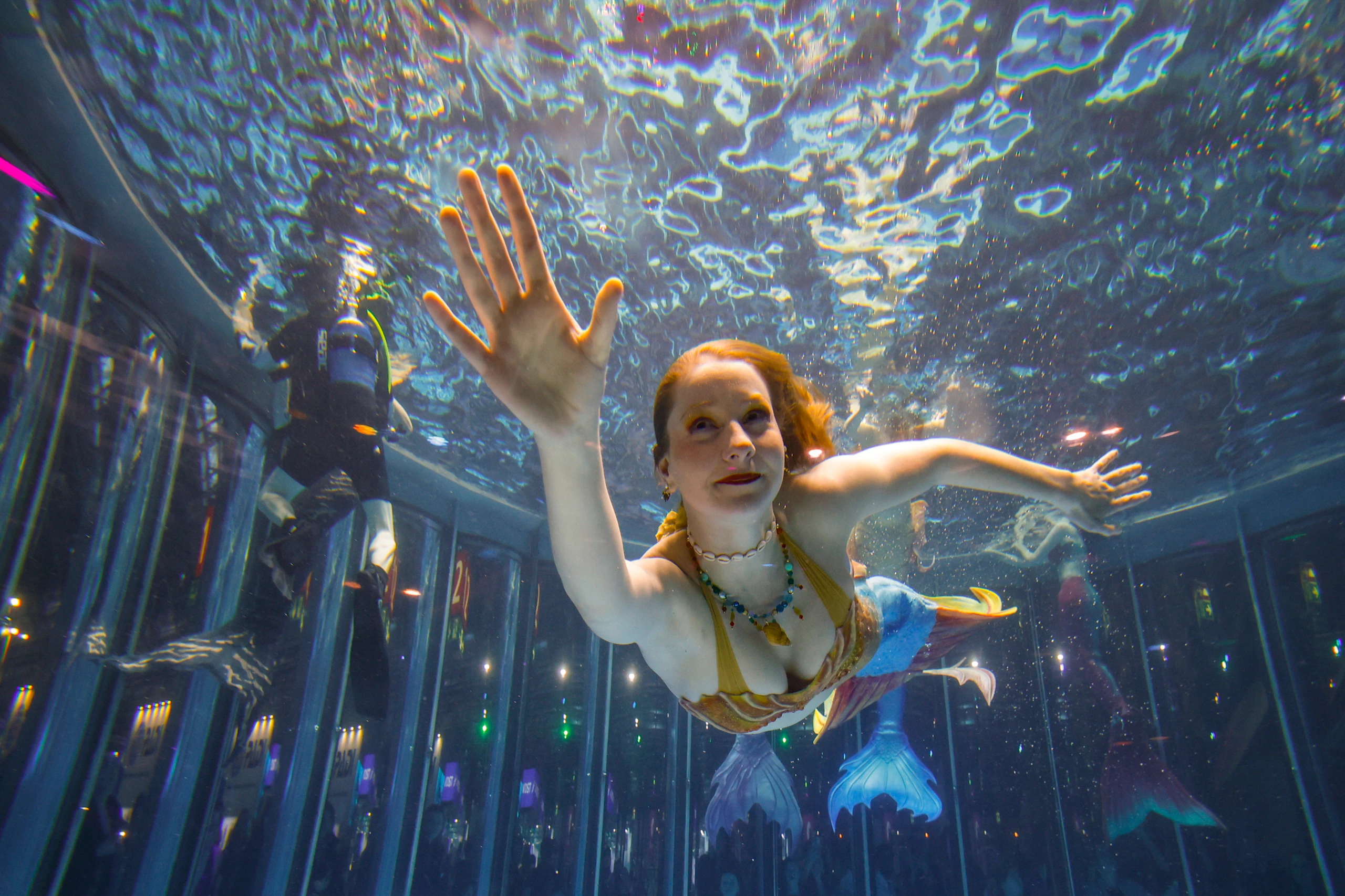 Eintauchen, abtauchen & auftauchen