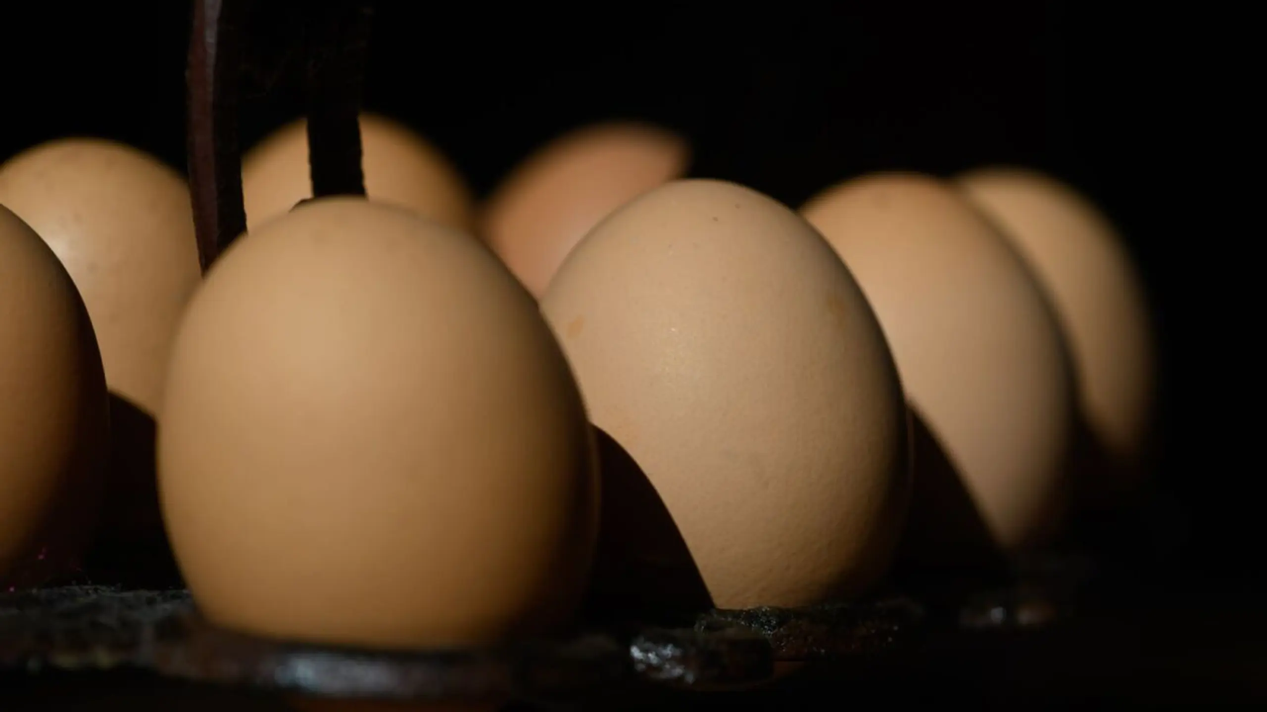 © APA/APA/dpa/Robert Michael ++ ARCHIVBILD ++ Steuer auf Grundnahrungsmittel sinkt