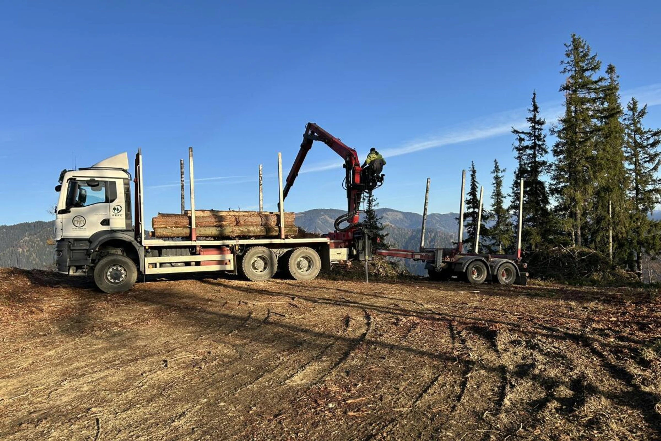 Aufladen von Baumstämmen