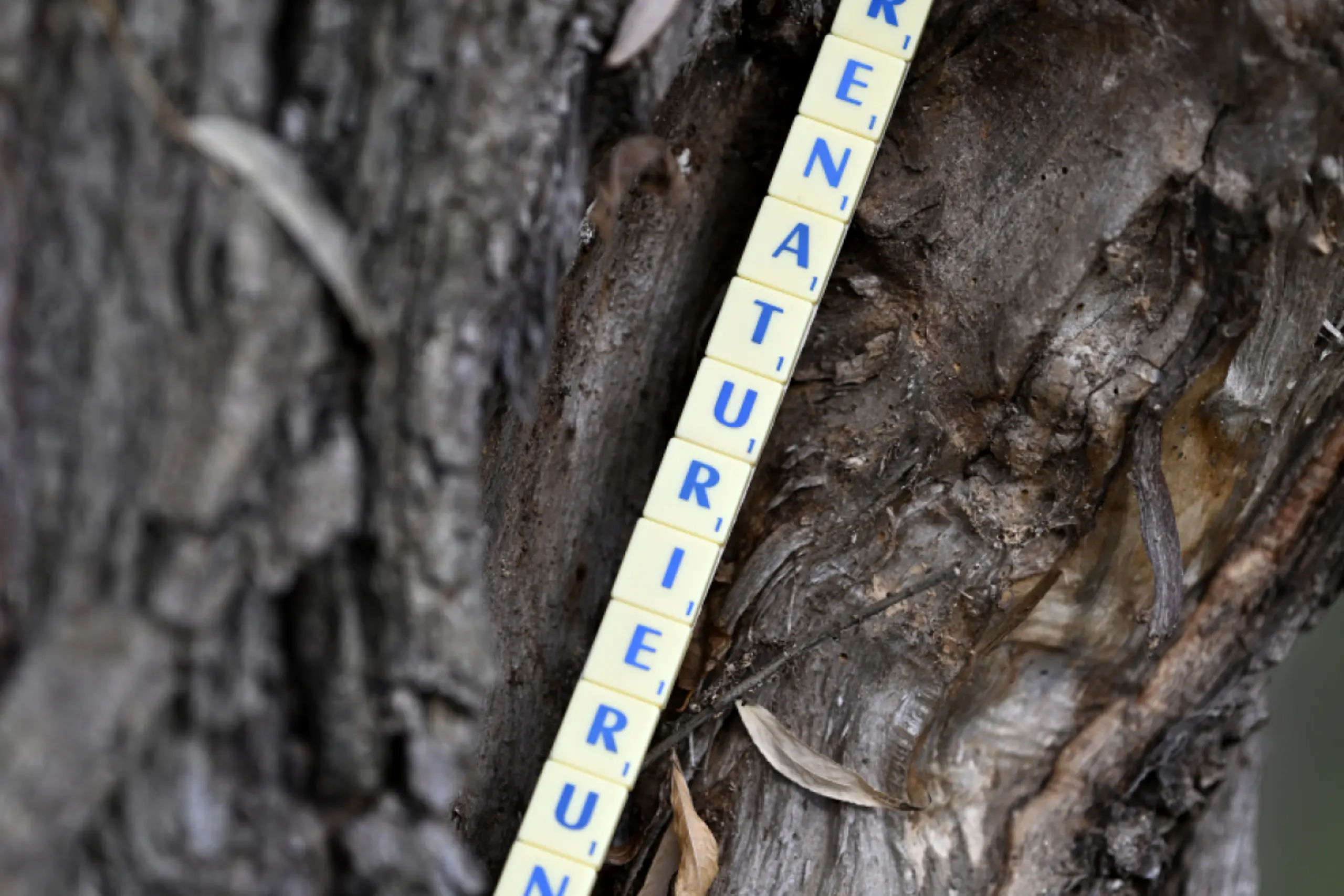 Rund um den Begriff wurde zuletzt höchst kontrovers diskutiert