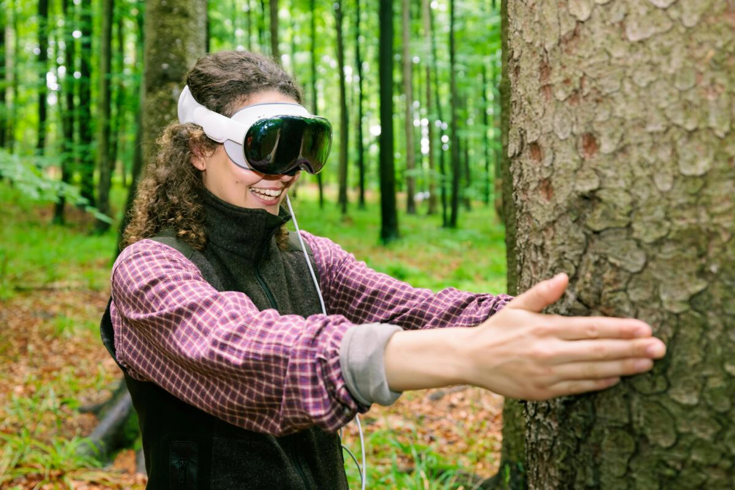 Ein Baum wird vermessen