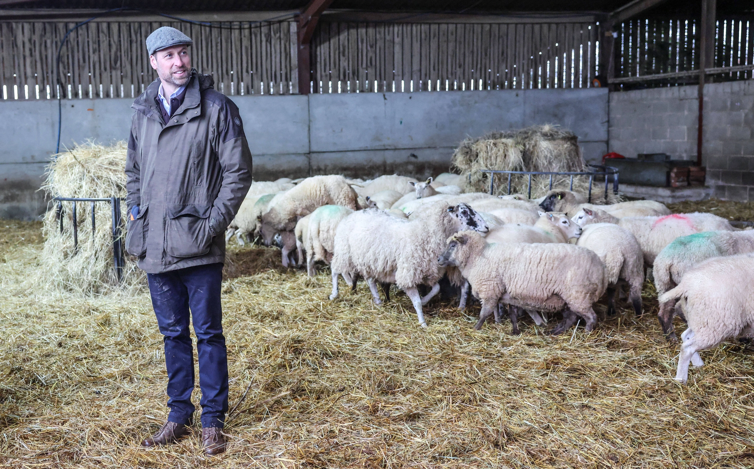 Promi-Bilder: Die neuesten Fotos der Stars