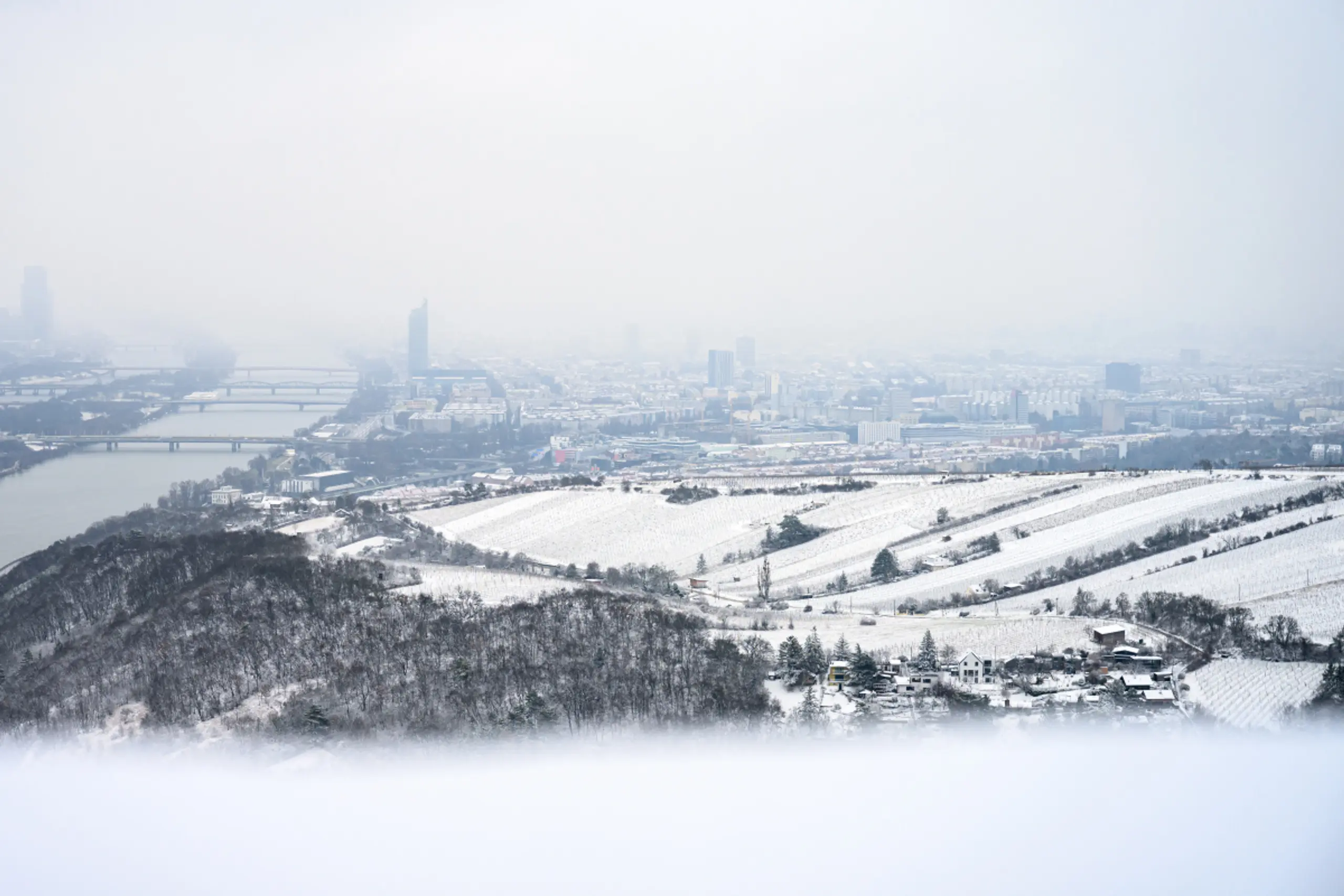 Lage zwischen Berg, Ebene und Fluss macht Wien geologisch spannend