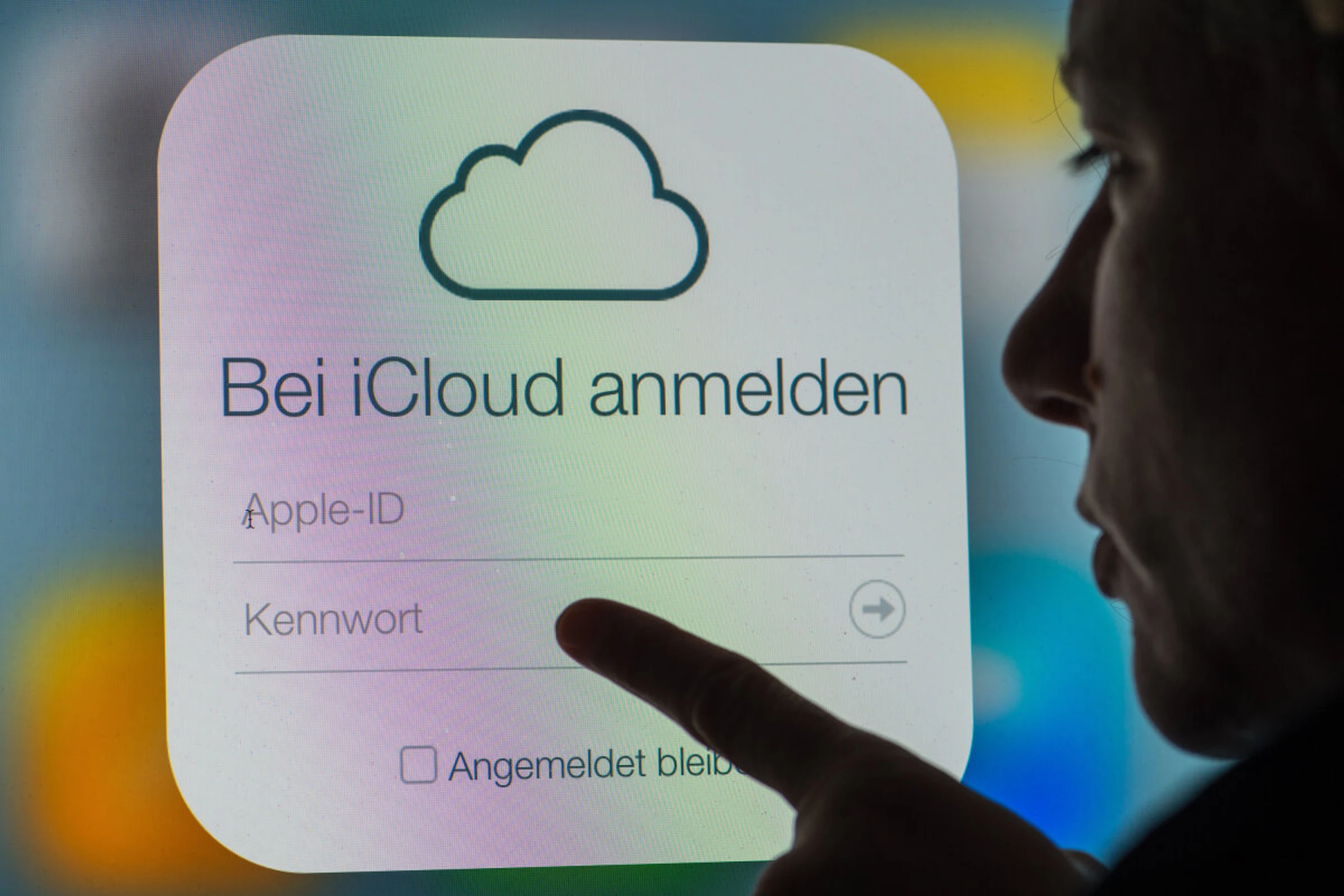 Software und Cloud-Angebote als Wachstumstreiber