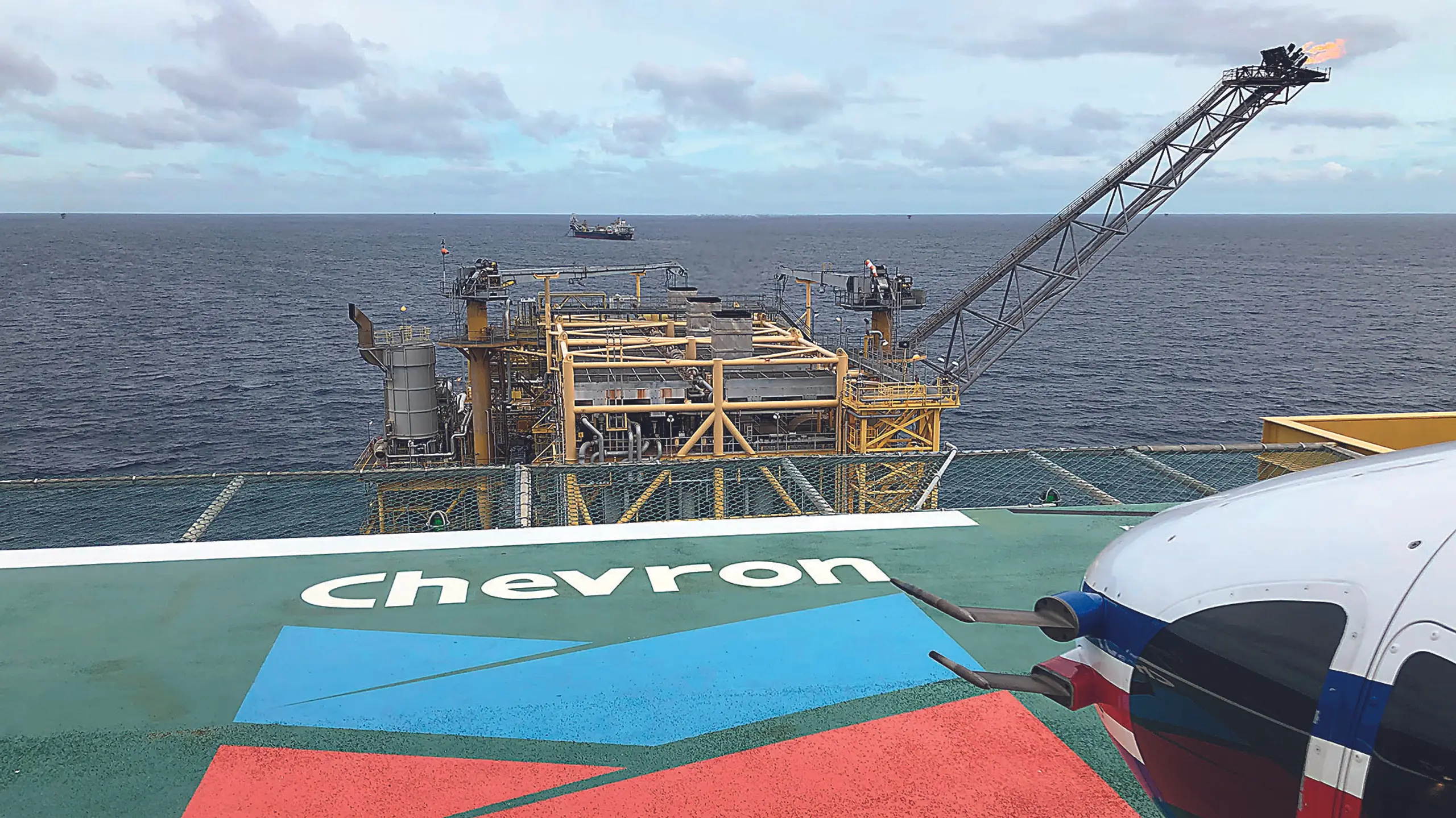 © Shutterstock Artikelbild