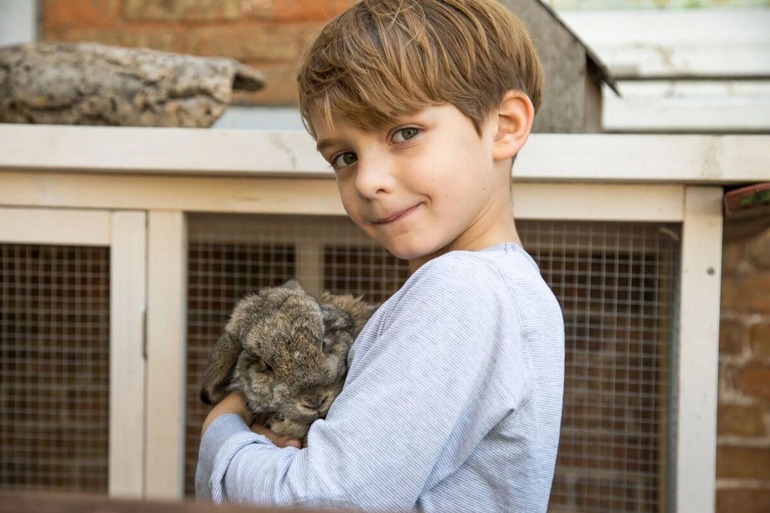 Haustiere sollten Kindern nur unter Aufsicht nahekommen