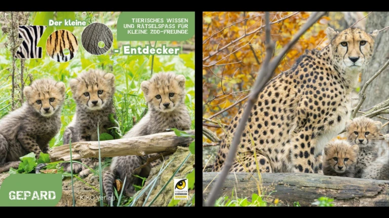 Gewinnspiel: 10 x „Der kleine Zoo-Entdecker. Gepard“