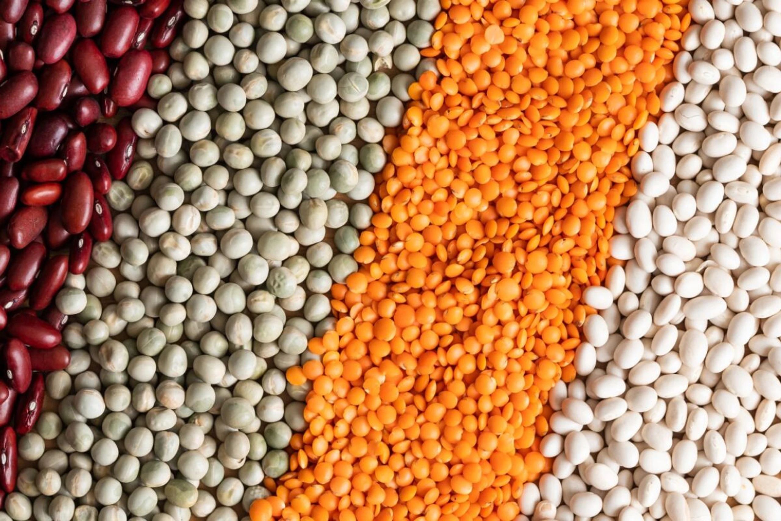 Die Kombination verschiedener pflanzlicher Eiweißquellen ist wichtig