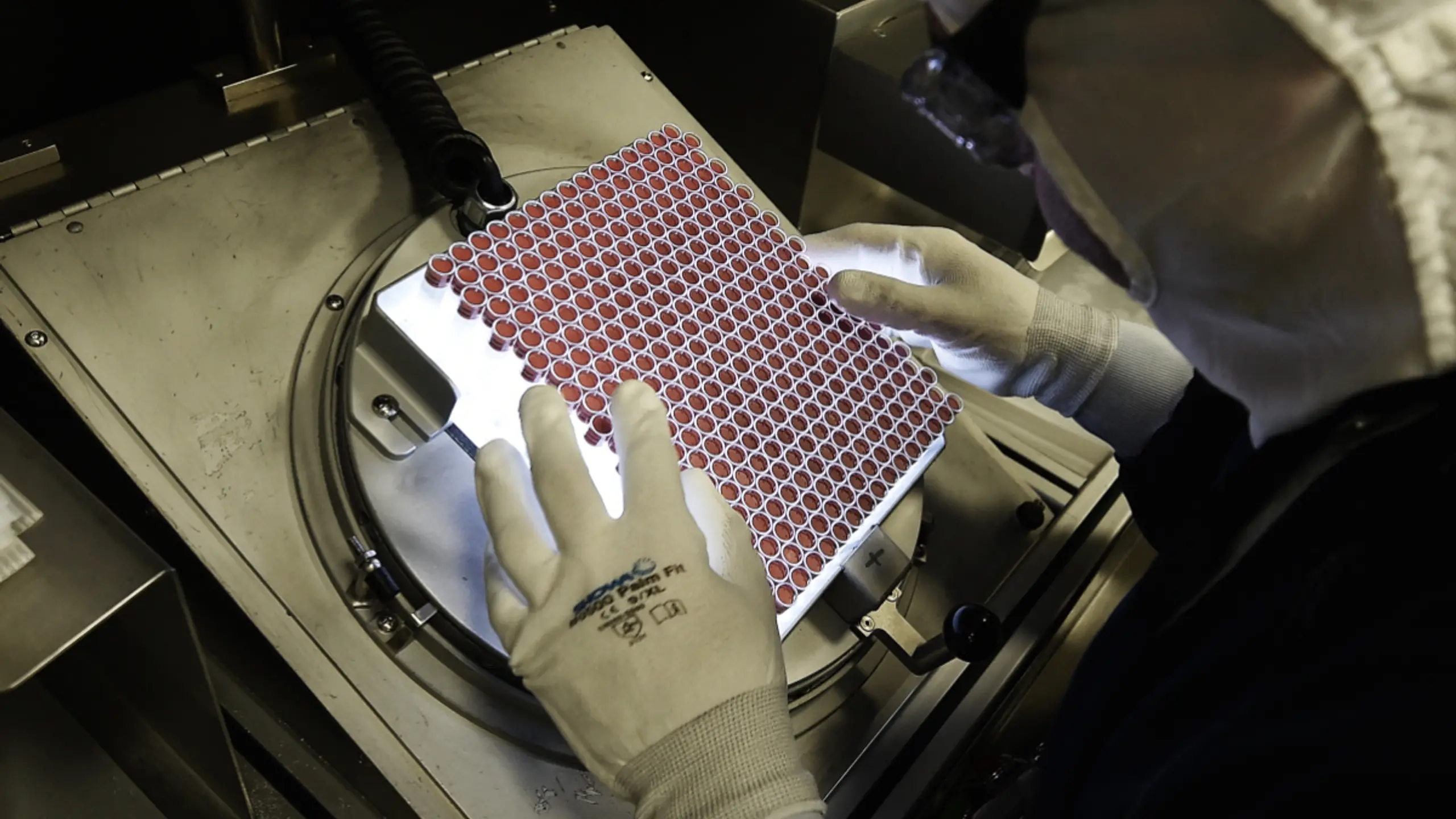 © APA/APA/AFP/FREDERICK FLORIN Vierter neuer Standort in den USA geplant