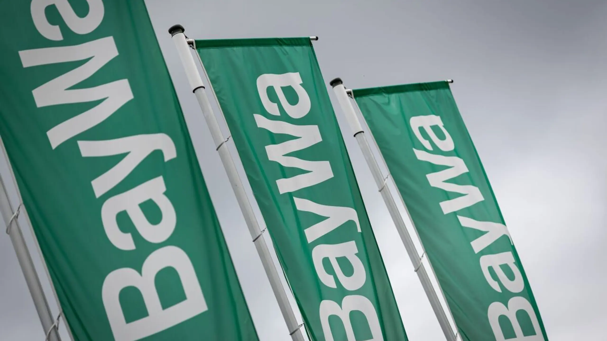 © APA/APA/dpa/Daniel Karmann ++ ARCHIVBILD ++ Der deutsche Agrarhandelskonzern BayWa ist schwer angeschlagen