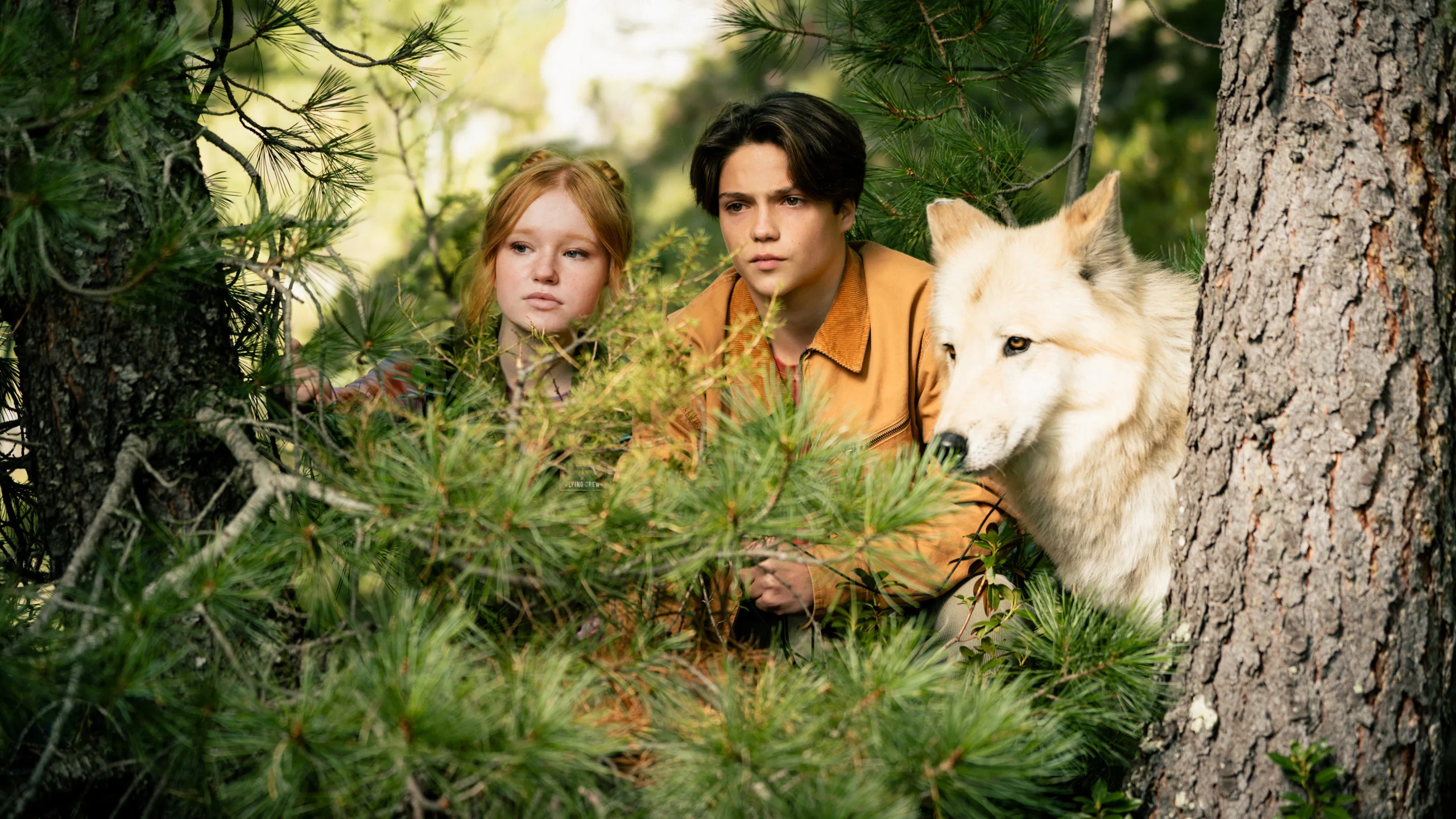 Woodwalkers 2 | Film 2025 | TV-MEDIA
