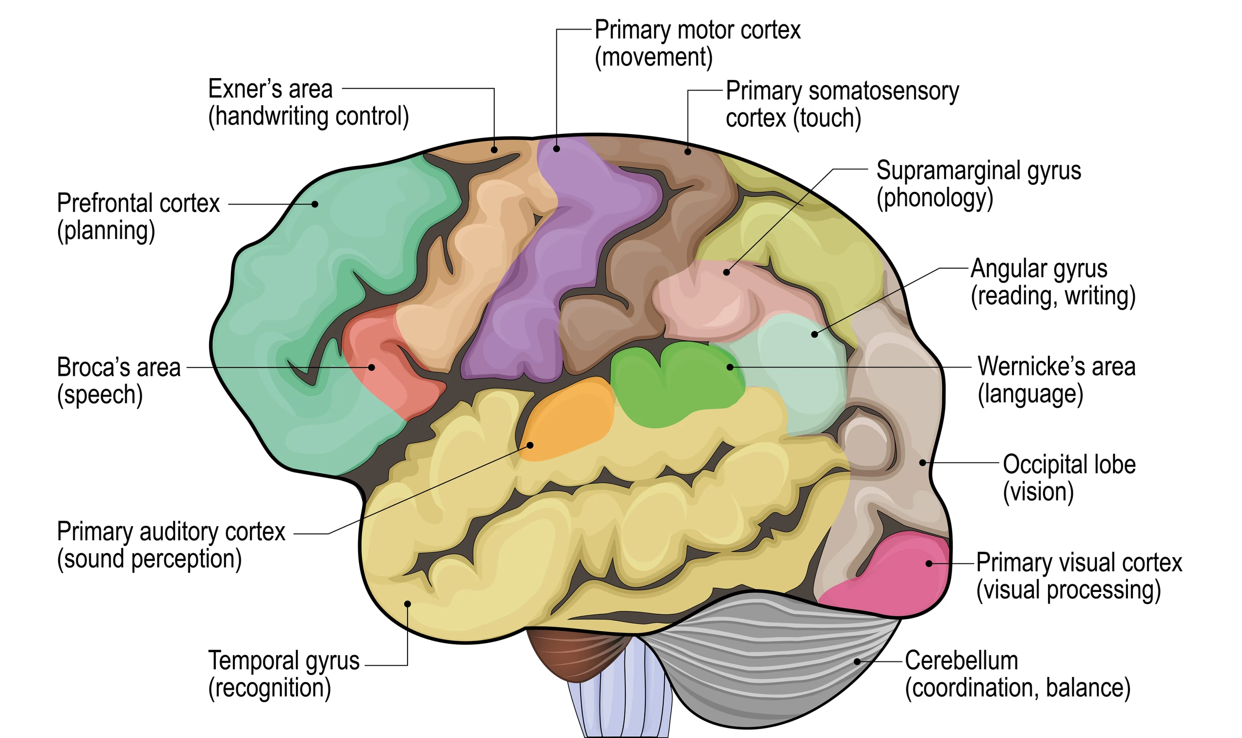 Blurred image background