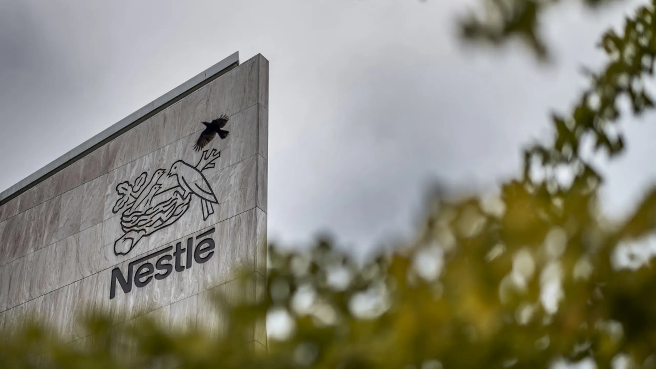 Nestle wird neu aufgeteilt