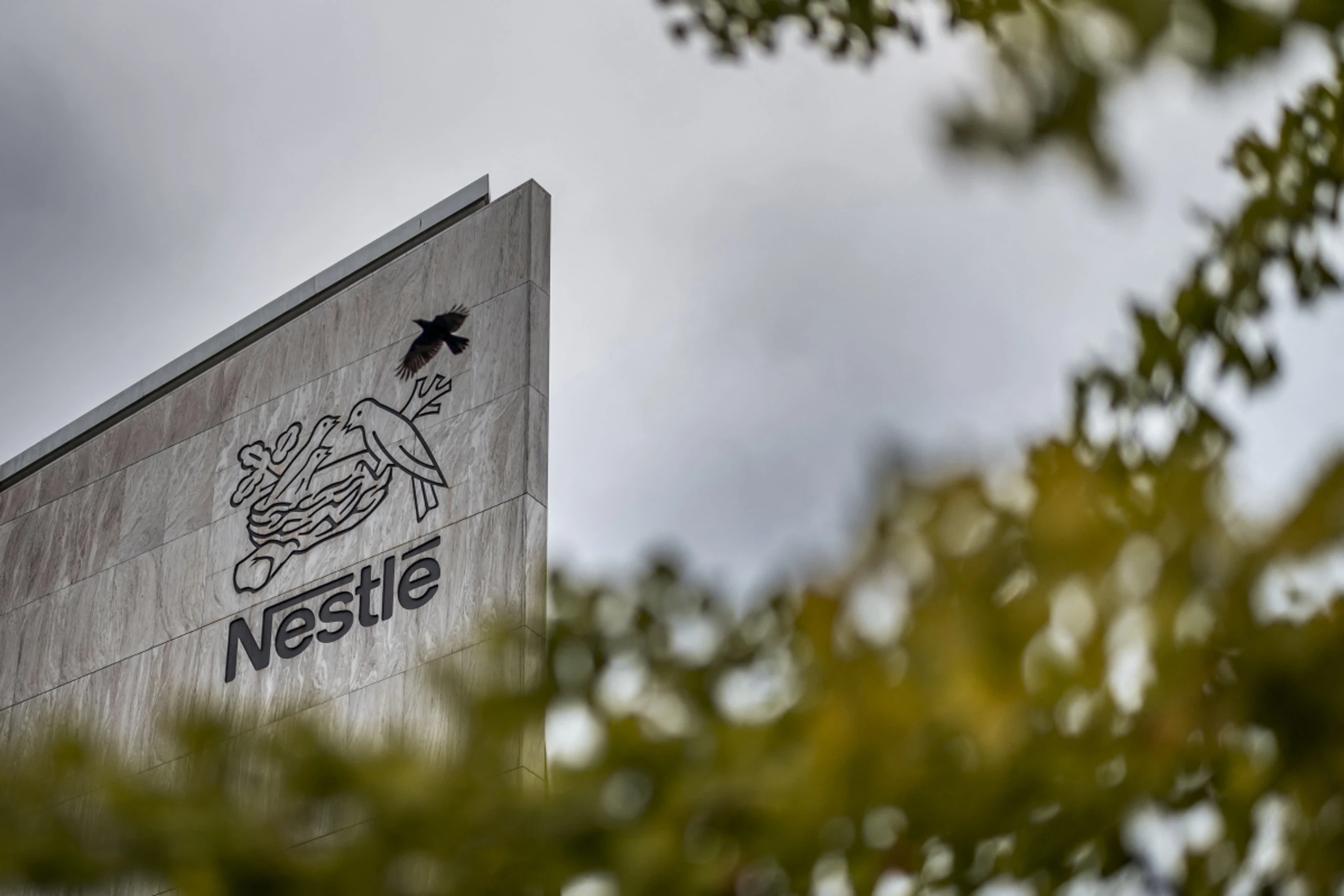Nestle wird neu aufgeteilt
