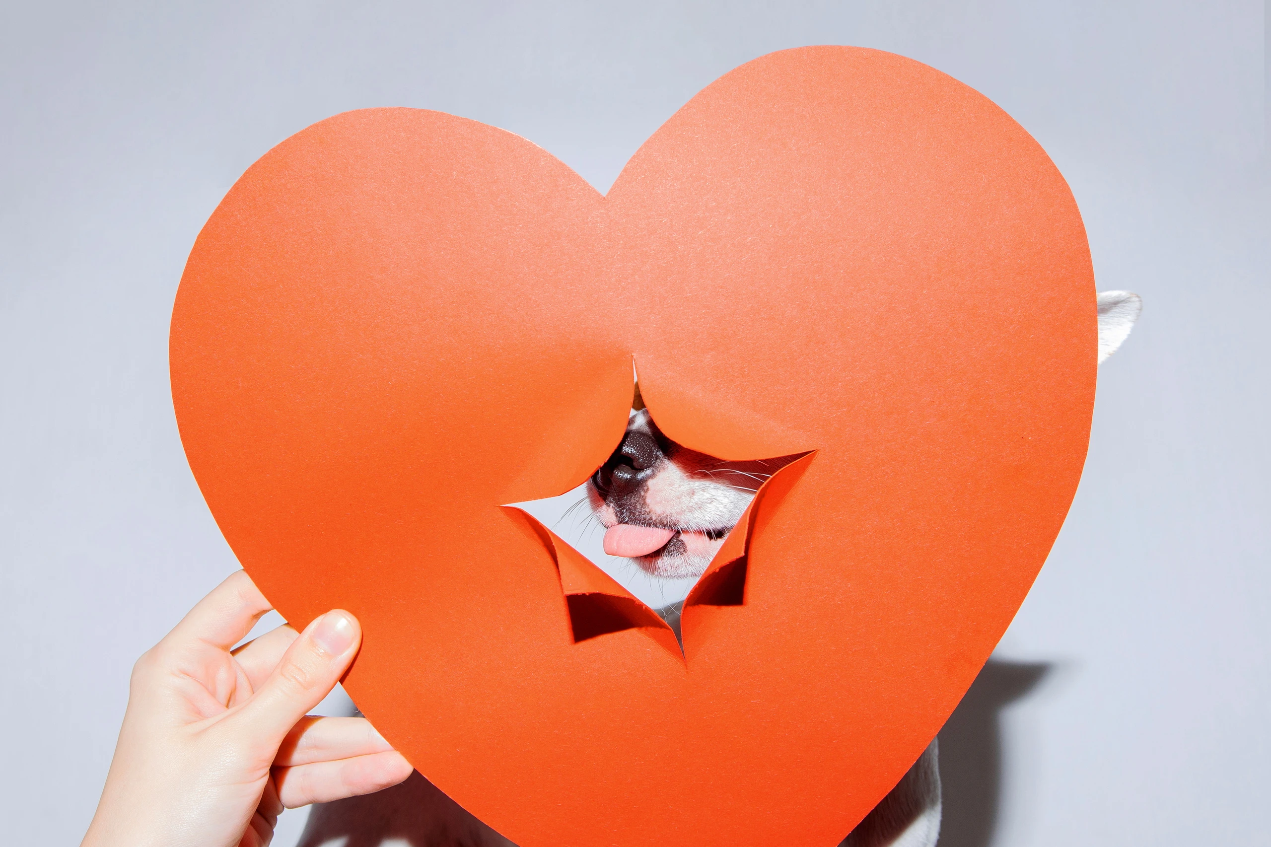 Das Jahr, in dem wir Dating neu erfinden